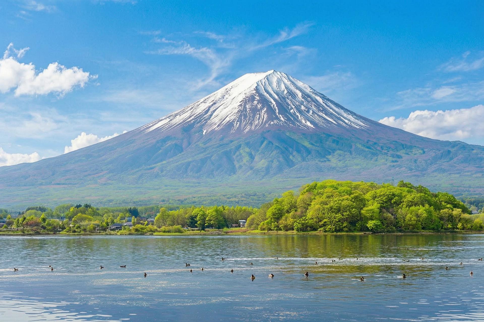 Mount Fuji Brilliant Scenery One-Day Tour (Departing from Tokyo) - Thumbnail 24