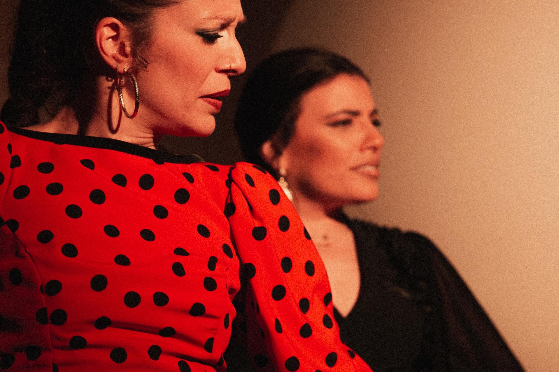 Traditional Flamenco Show in Madrid - Thumbnail 8