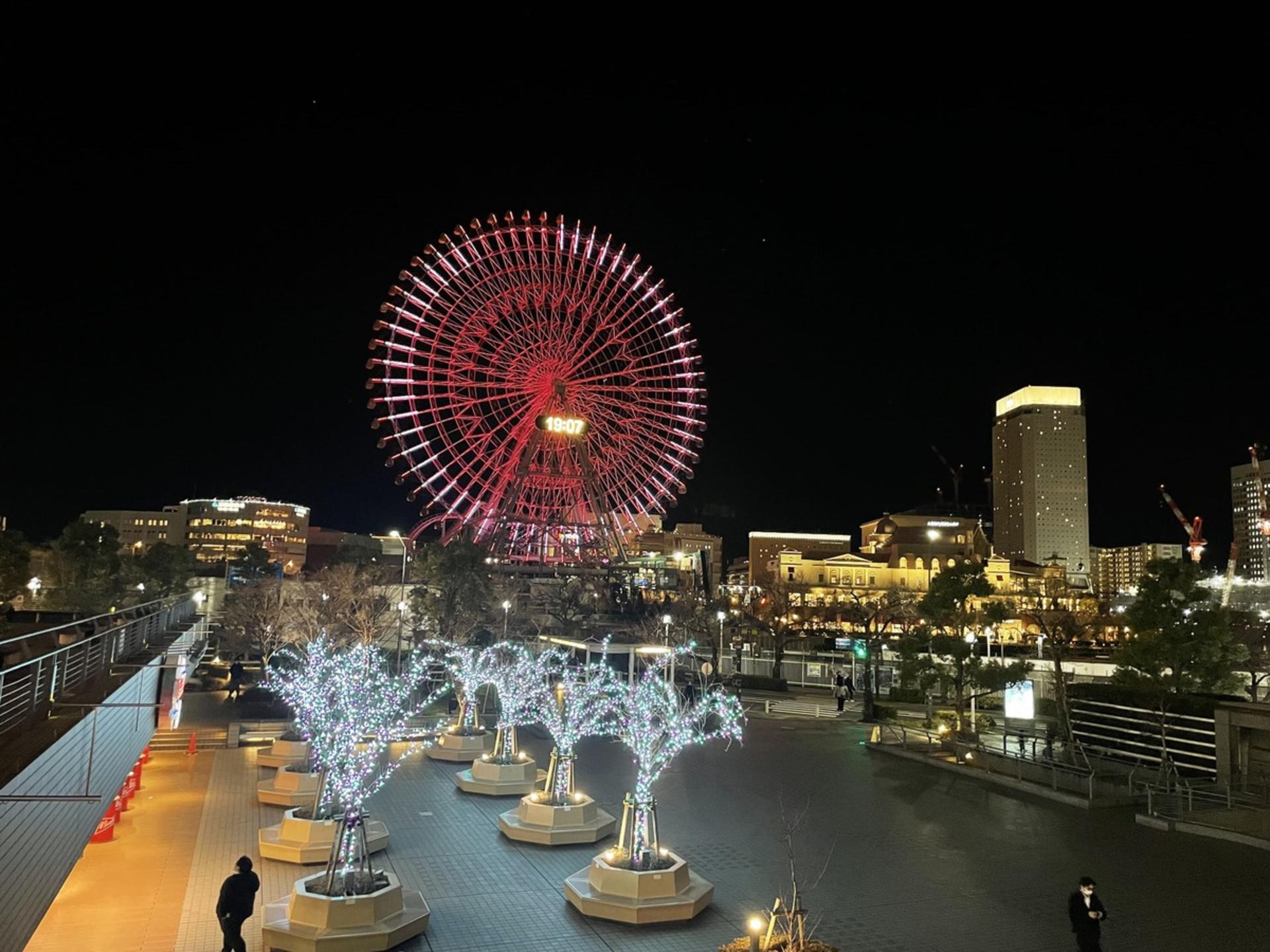 Tokyo & Yokohama Nightlife: Izakaya, Bar Hopping & City Walk - Thumbnail 14