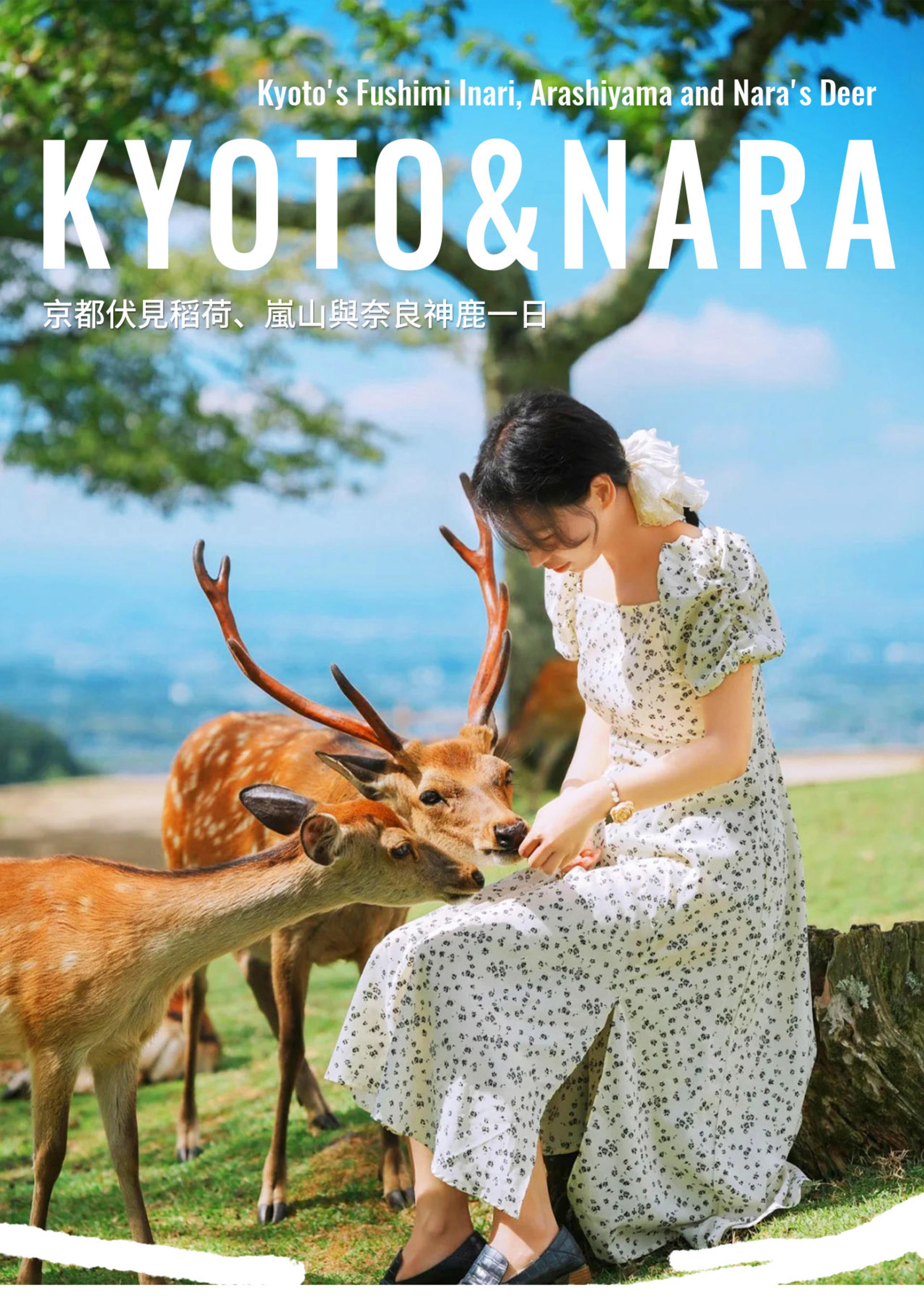 Kyoto, Arashiyama, Nara: Sagano Scenic Railway, Bamboo Forest Path, Yuzen Forest of Light, Nara Park, Fushimi Inari Shrine, Chiikawa Store Visit Day Trip | Departure from Osaka - Thumbnail 3