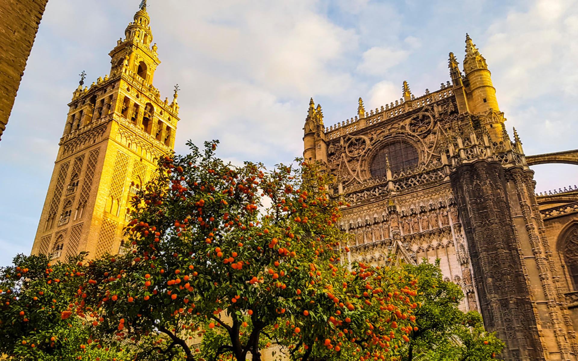 Cathedral of Seville and Giralda Tour - Thumbnail 8