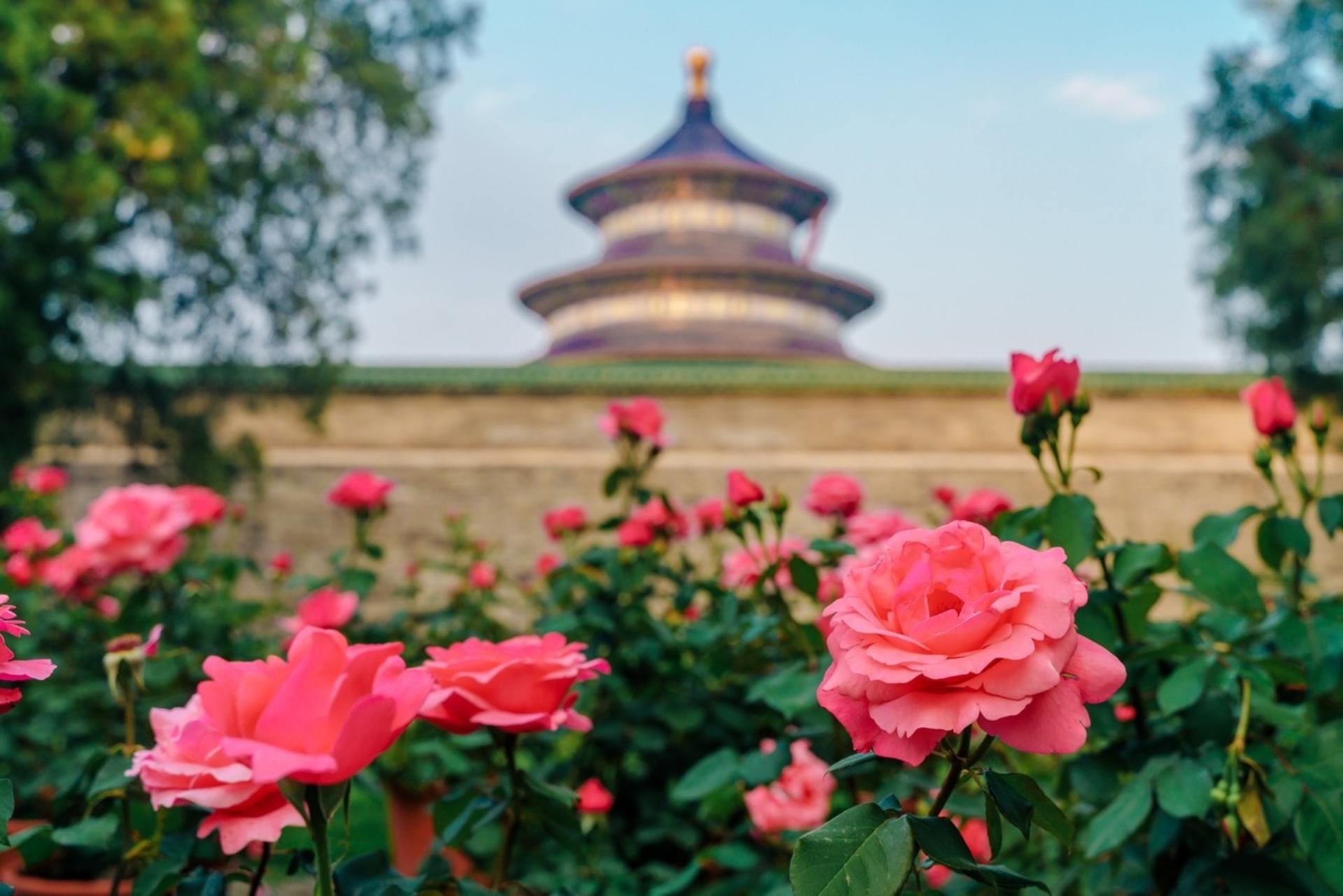 Beijing Temple of Heaven Half-Day Guided Tour - Thumbnail 3