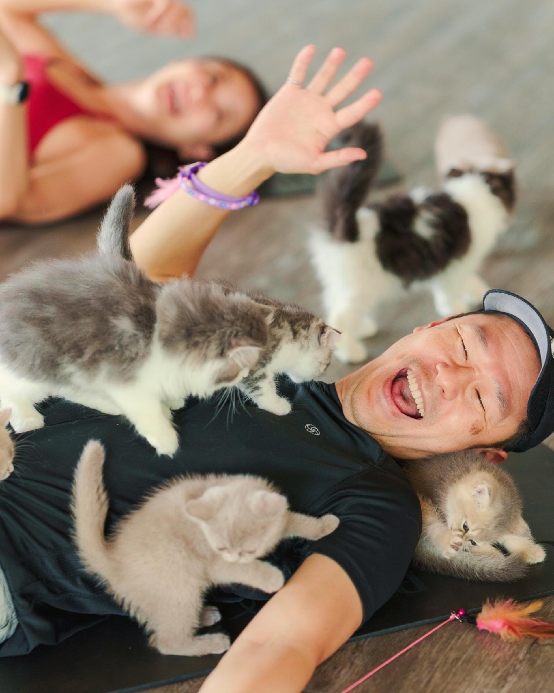 Puppy & Kitten Yoga Therapy with Photo Experience in Bangkok - Thumbnail 29