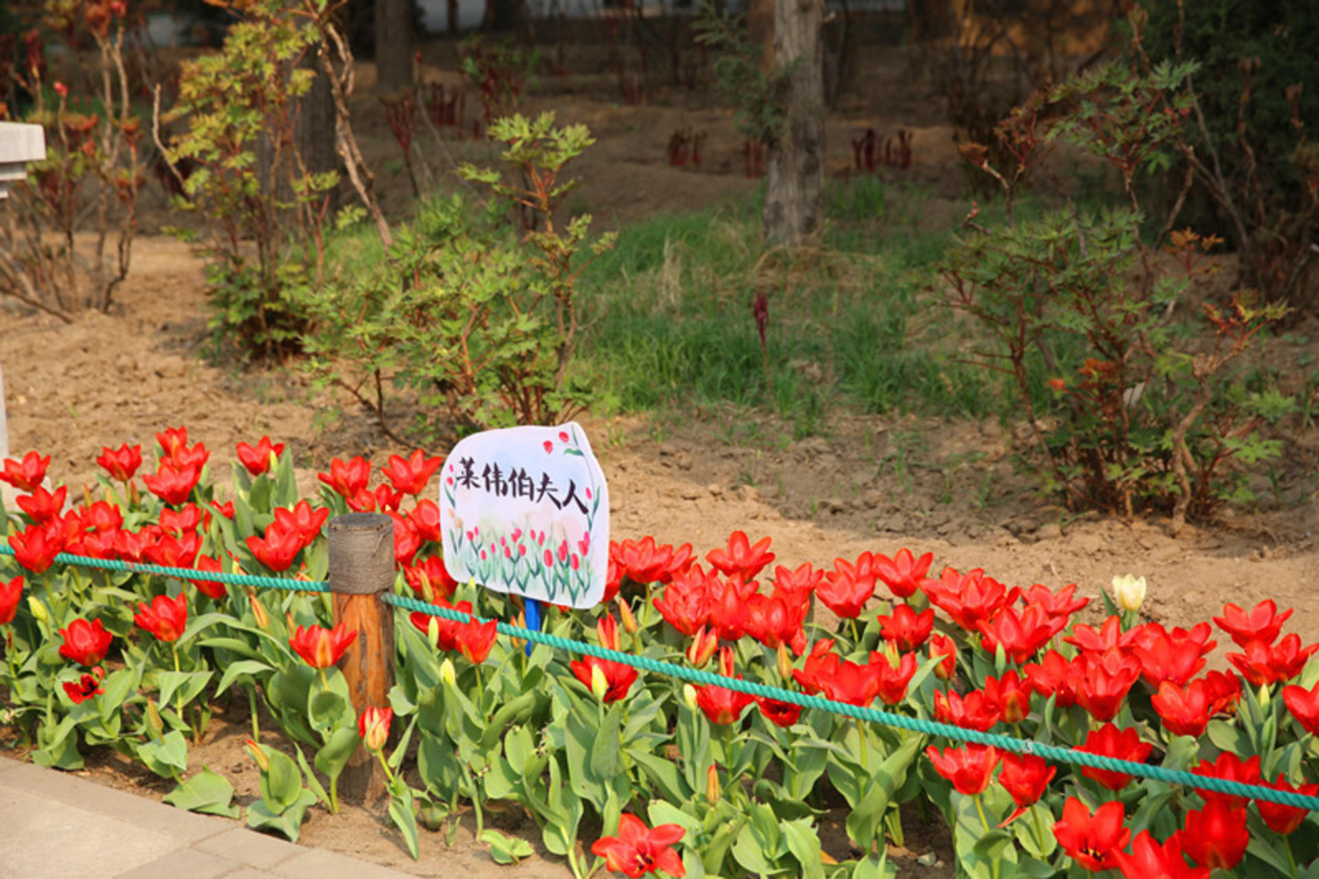 Jingshan Park Tickets - Thumbnail 7