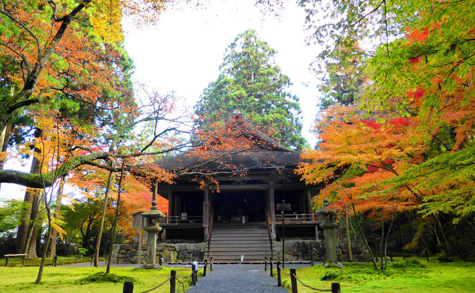 Kyoto Luxury Private Car Charter - Exploring Japanese Style - Thumbnail 6