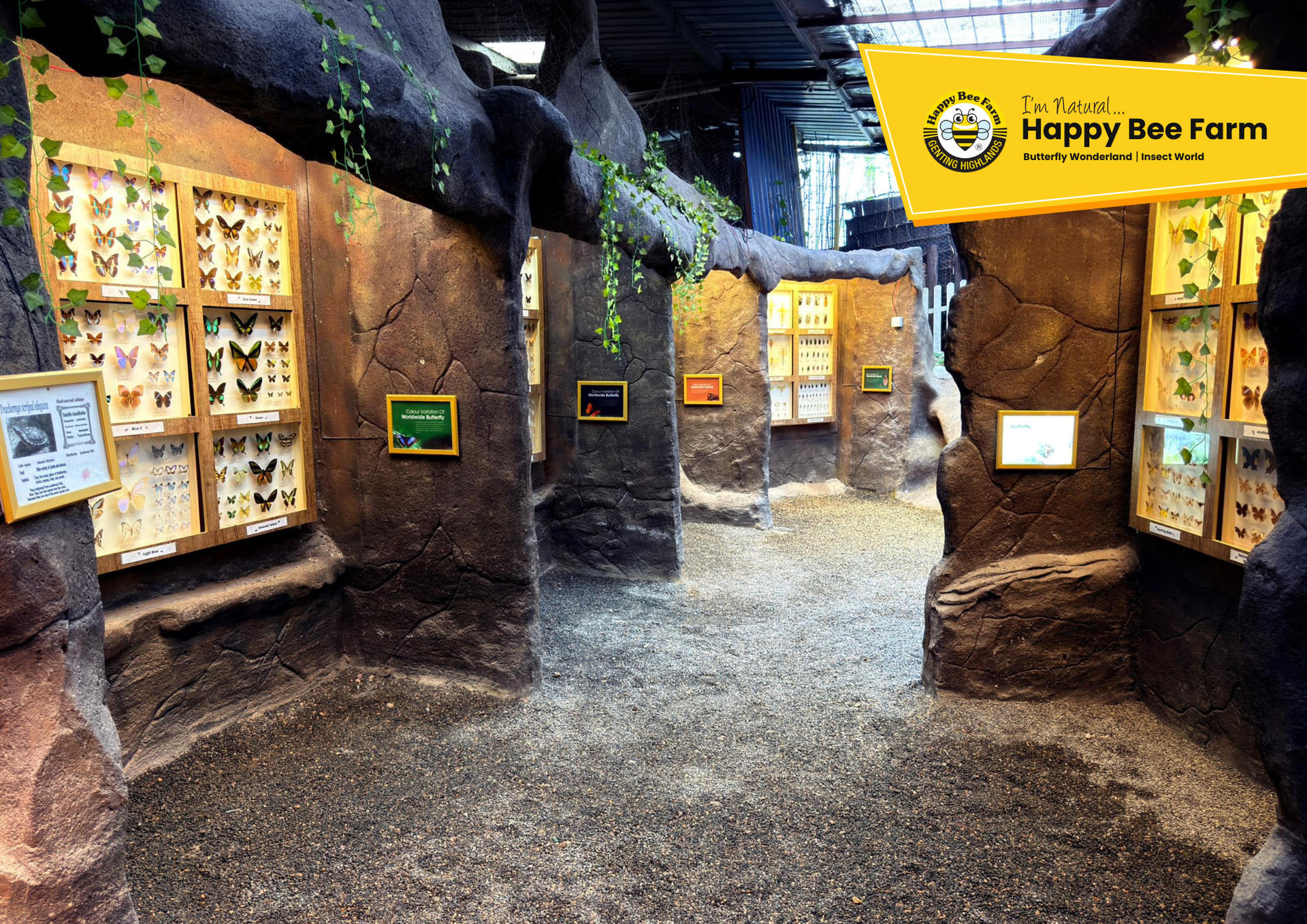 Happy Bee Farm Admission Ticket in Genting Highlands - Thumbnail 9