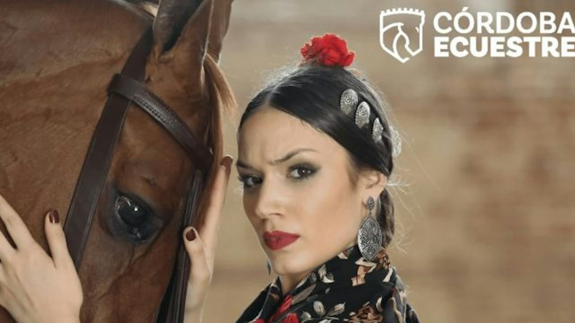 The Andalusian Horse Equestrian Show Ticket in Cordoba
