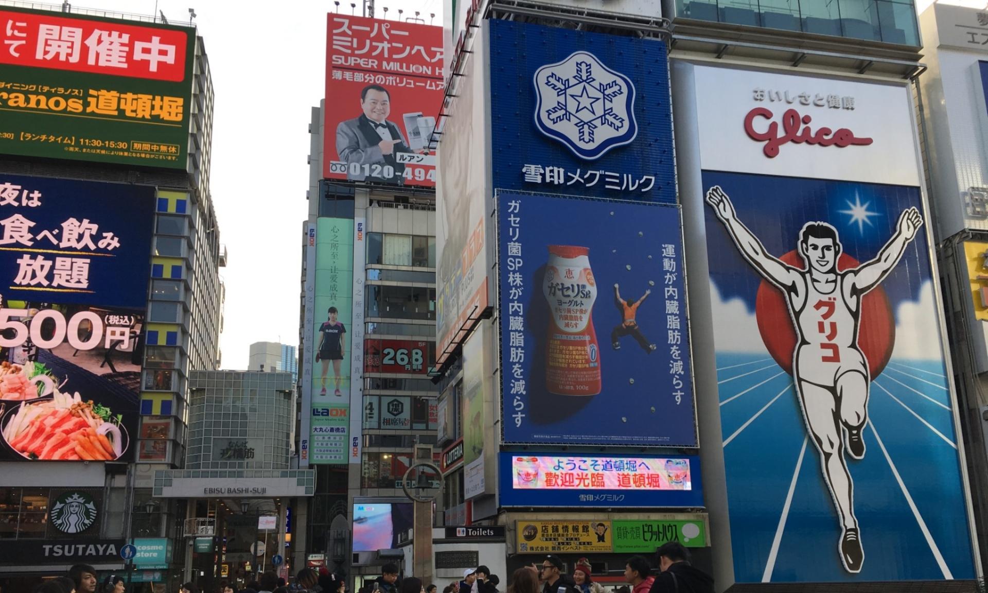 Osaka Private Tour: Custom Highlights with a Licensed Guide - Image 1