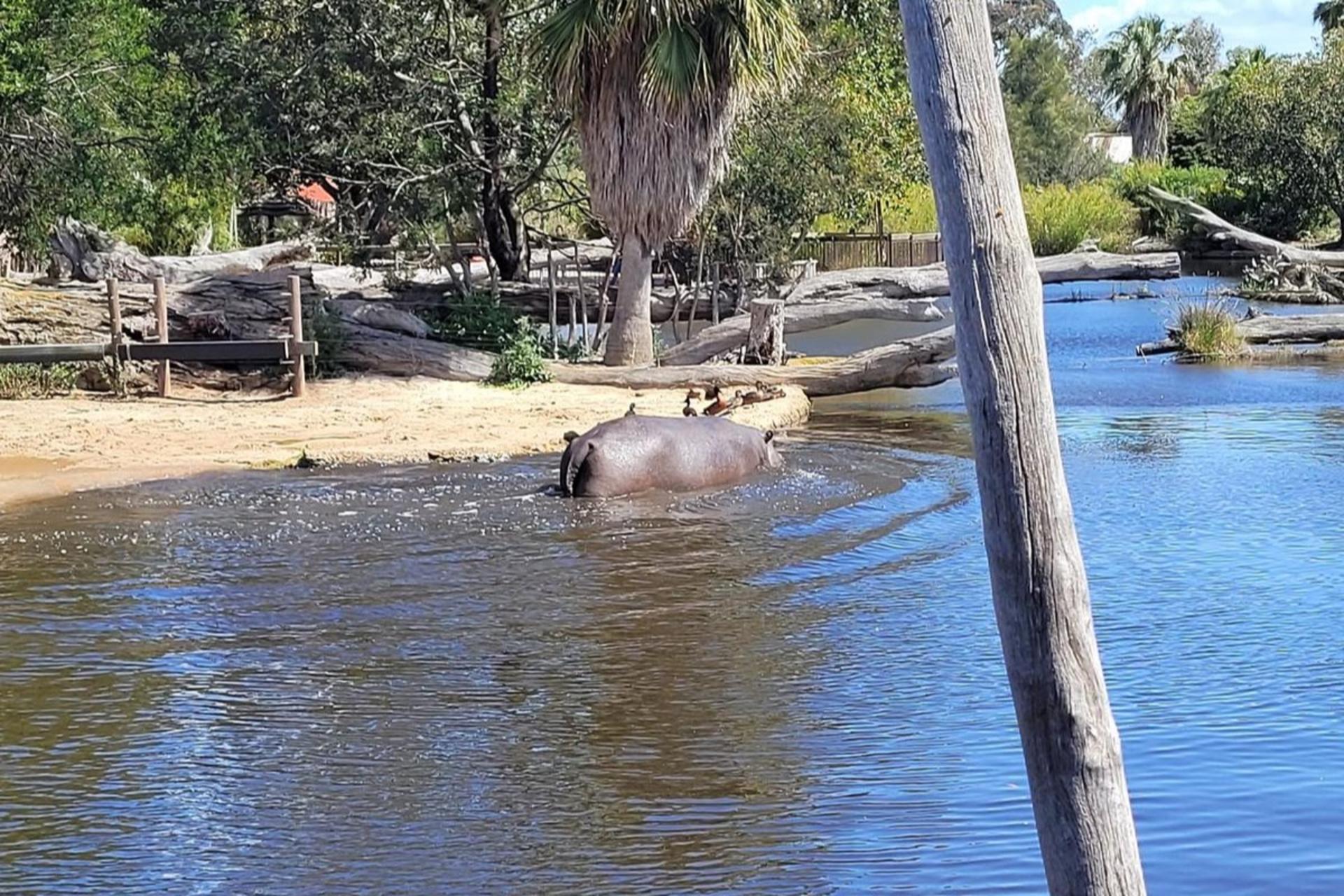 Werribee Open Range Zoo Ticket - Thumbnail 12