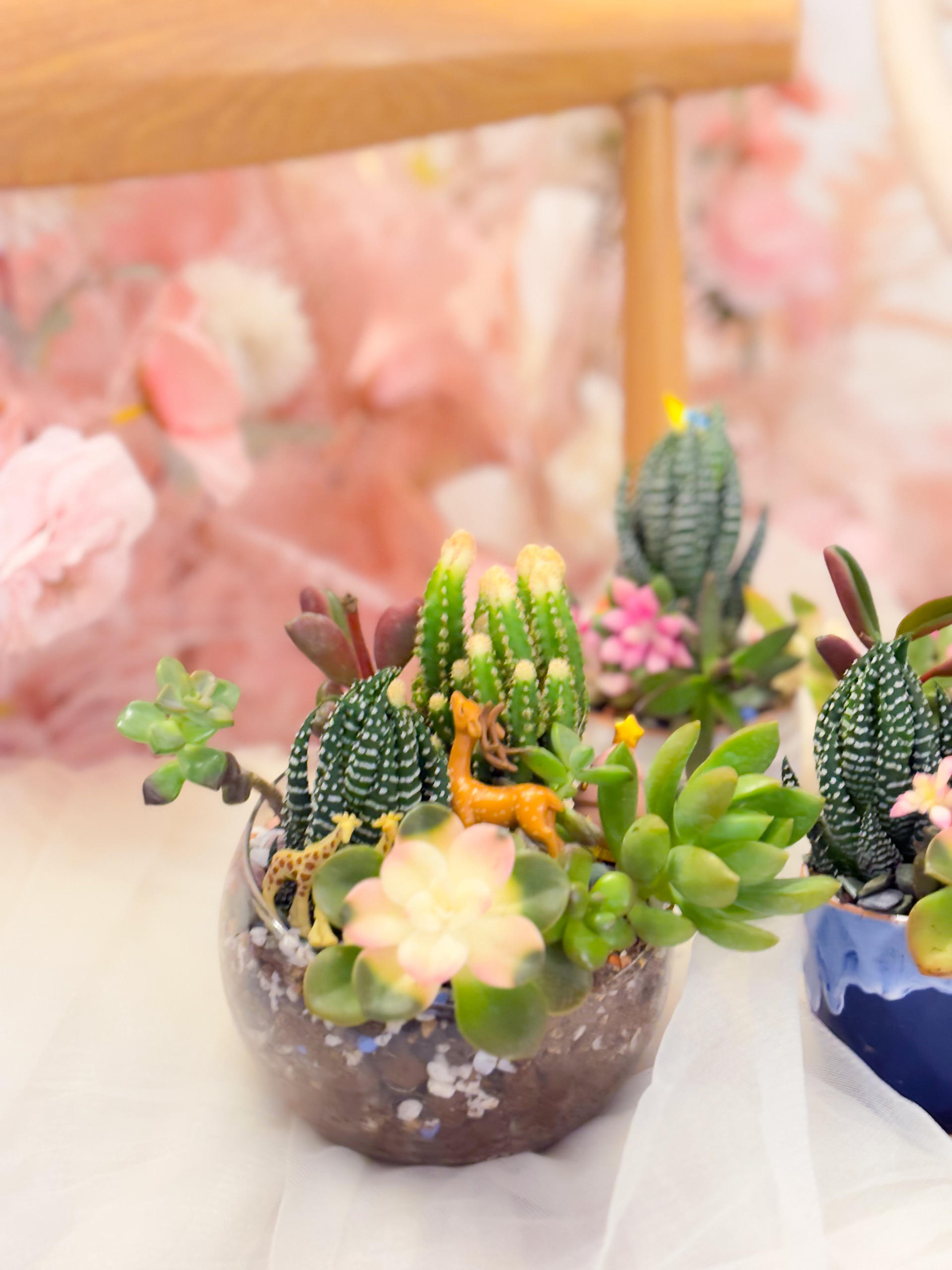 Myosotis Flower - Succulent Terrarium Workshop - Image 1