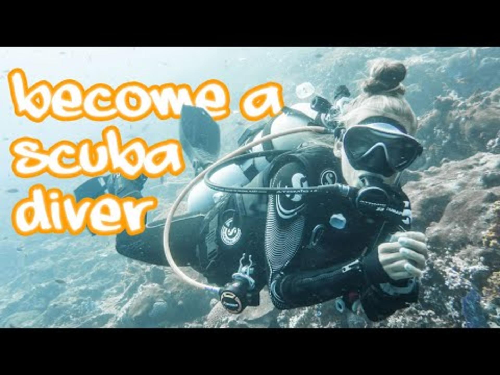 Dive Today!PADI Discover Scuba Diving in Komodo with PADI 5 Star IDC - Thumbnail 2