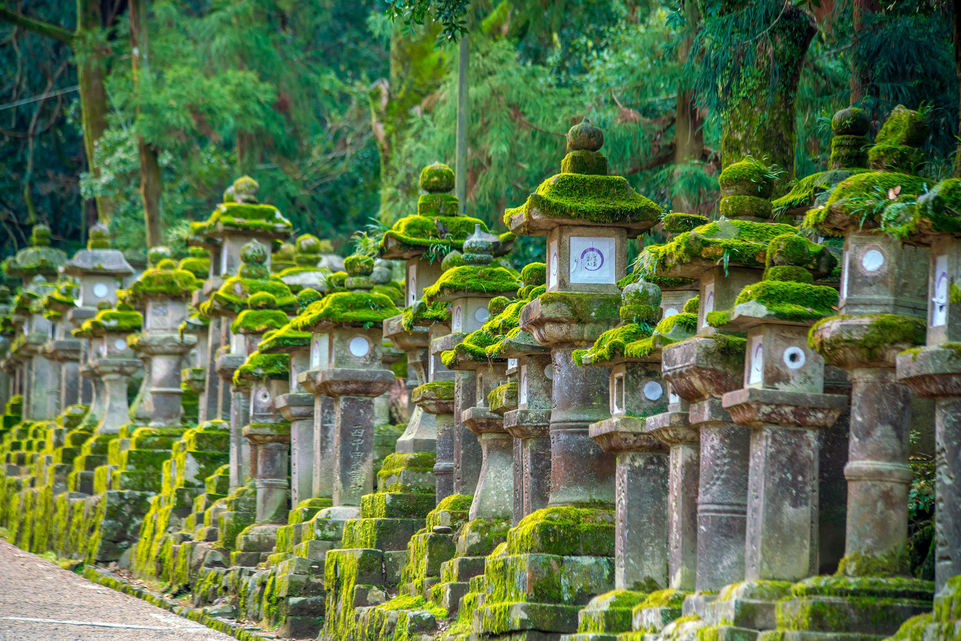 Best of Kyoto & Nara: Kiyomizudera, Nara Park, Todaiji & Much More - Thumbnail 18