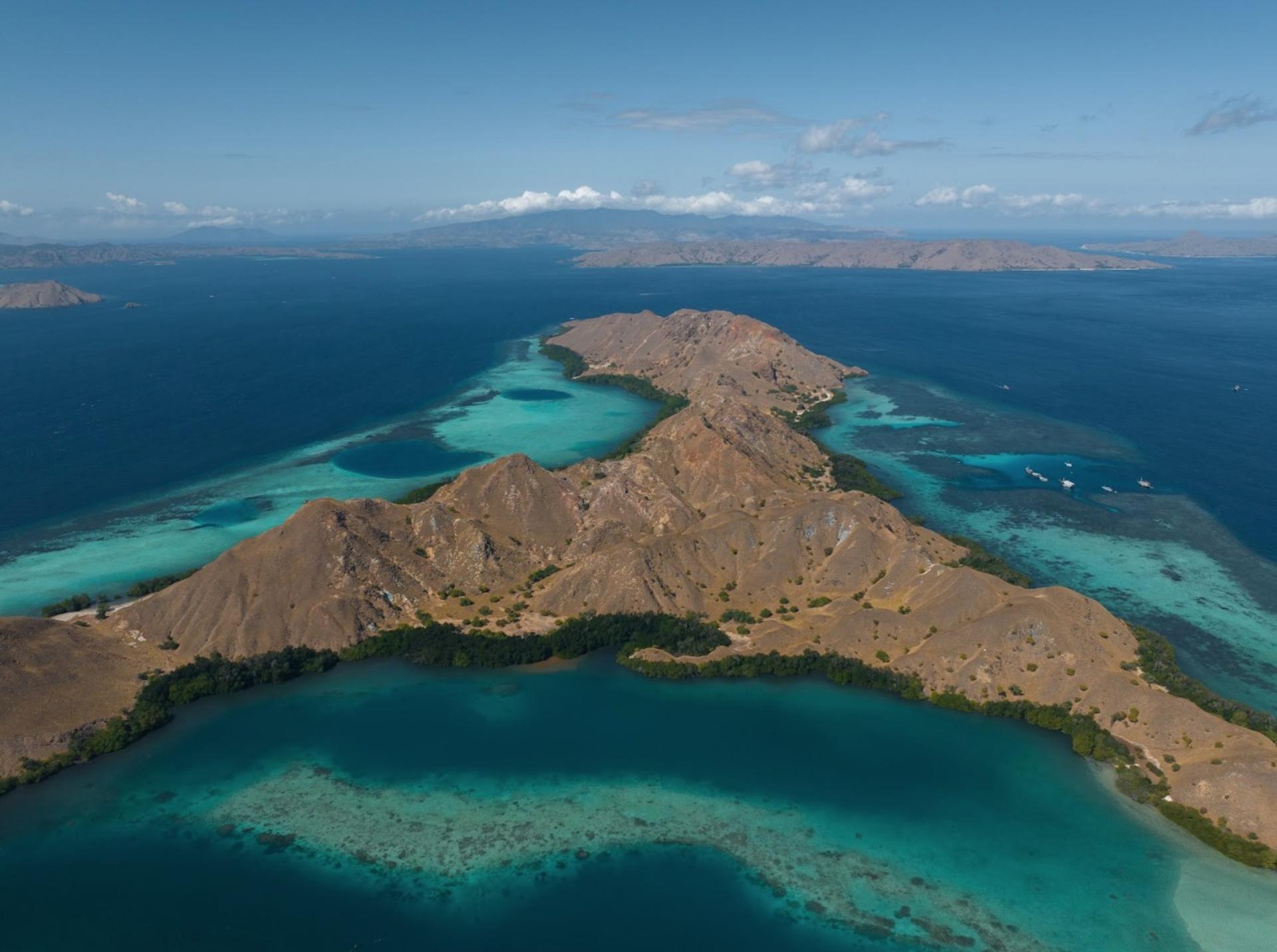 Scuba Diving Experience in Komodo National Park with Maika Diving - Thumbnail 7