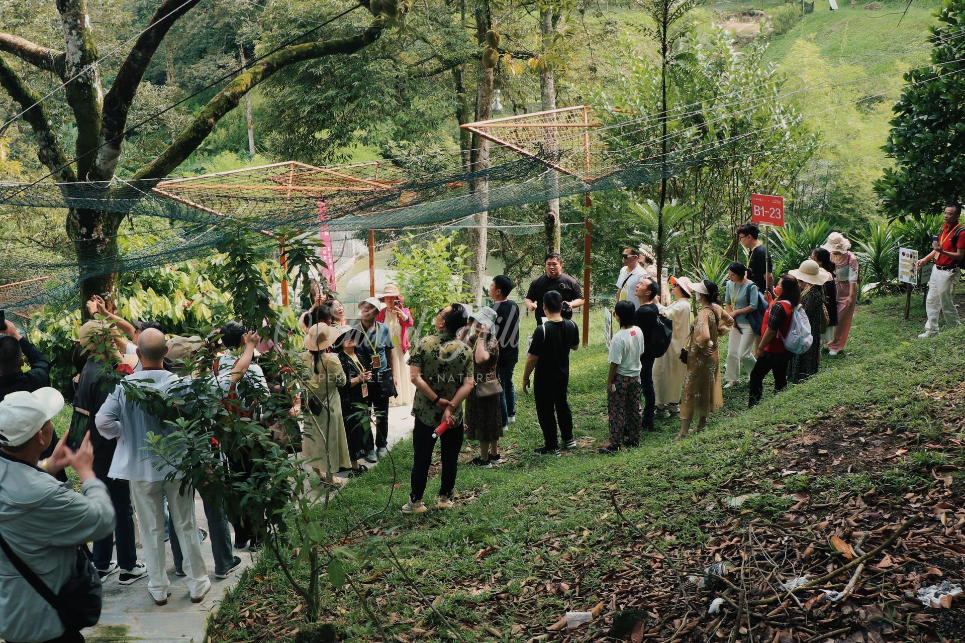 2 Days 1 Night Melaka Tour with Theatre Show - Thumbnail 13