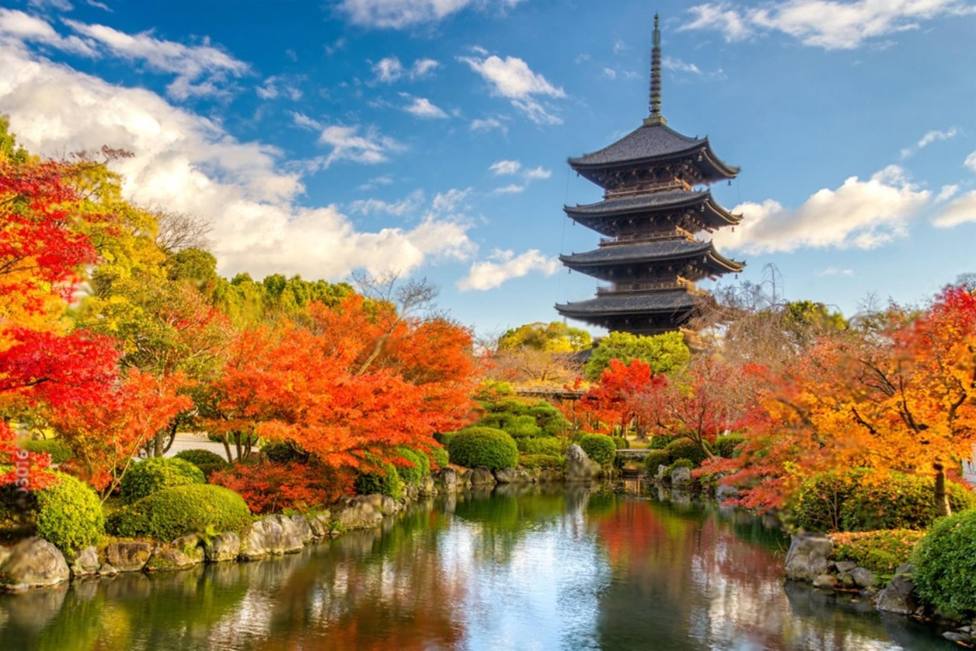Kyoto Highlights Private Day Trip (Departure from Osaka/Kyoto) - Thumbnail 12