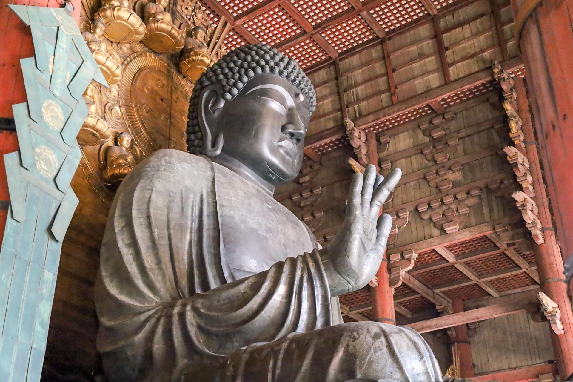 Nara & Kyoto Guided Bus Tour by Professional guide - Thumbnail 7