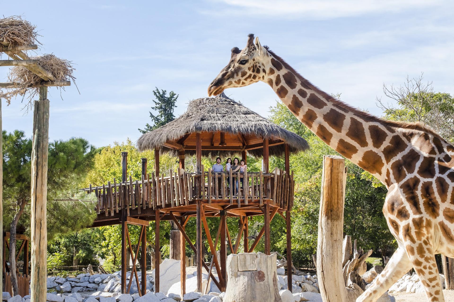 Zoo Aquarium Admission in Madrid - Image 1