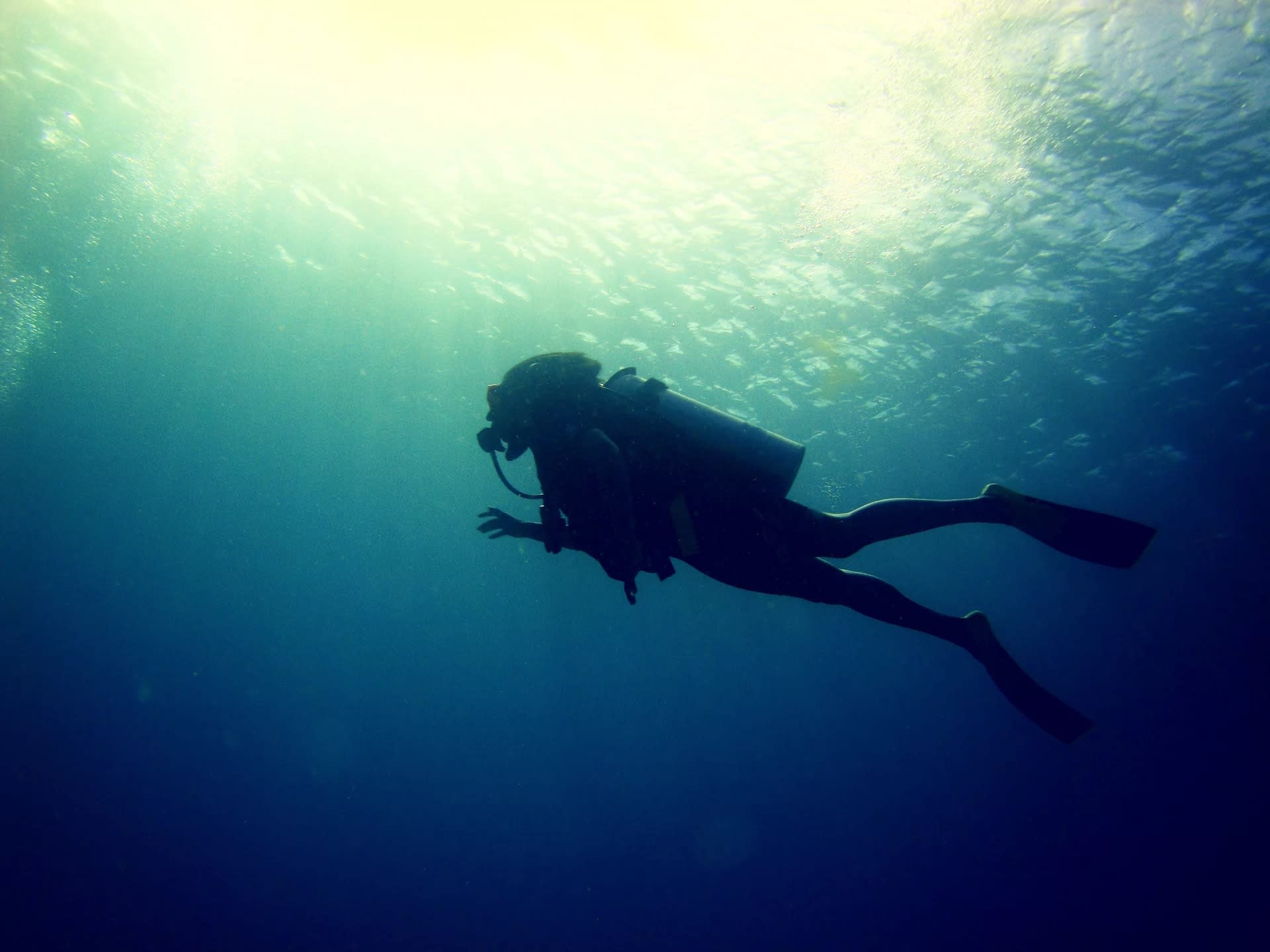 Extend your Dives: Nitrox Course in Gran Canaria with PADI 5* Center - Thumbnail 2