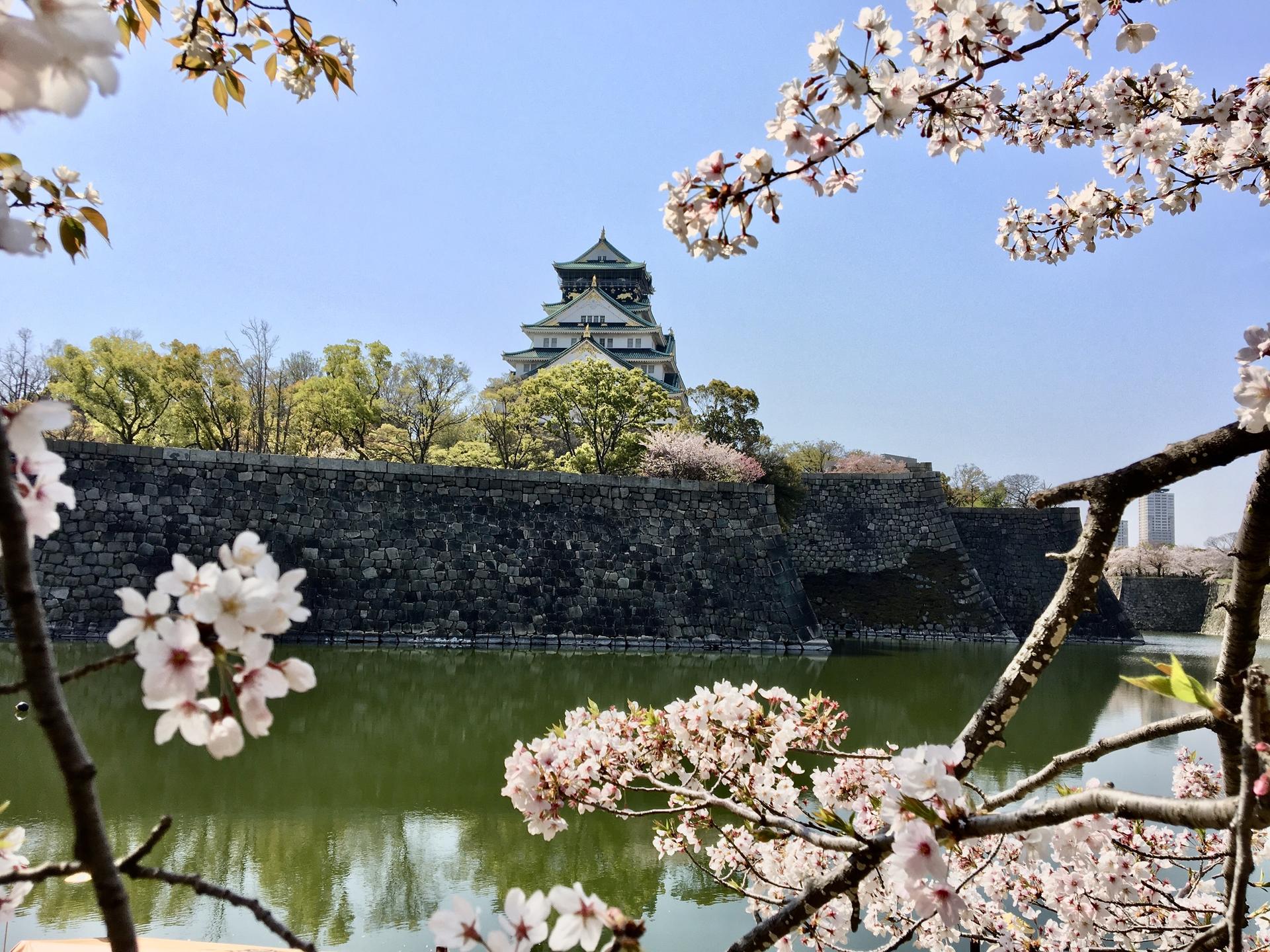 Osaka Castle 3-Hour Private Historical Tour - Image 1