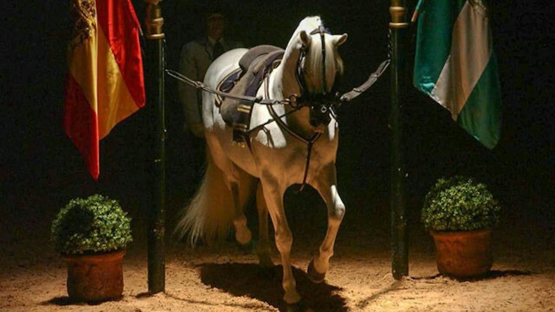 Andalusian horse show ticket in Jerez de la Frontera - Thumbnail 5