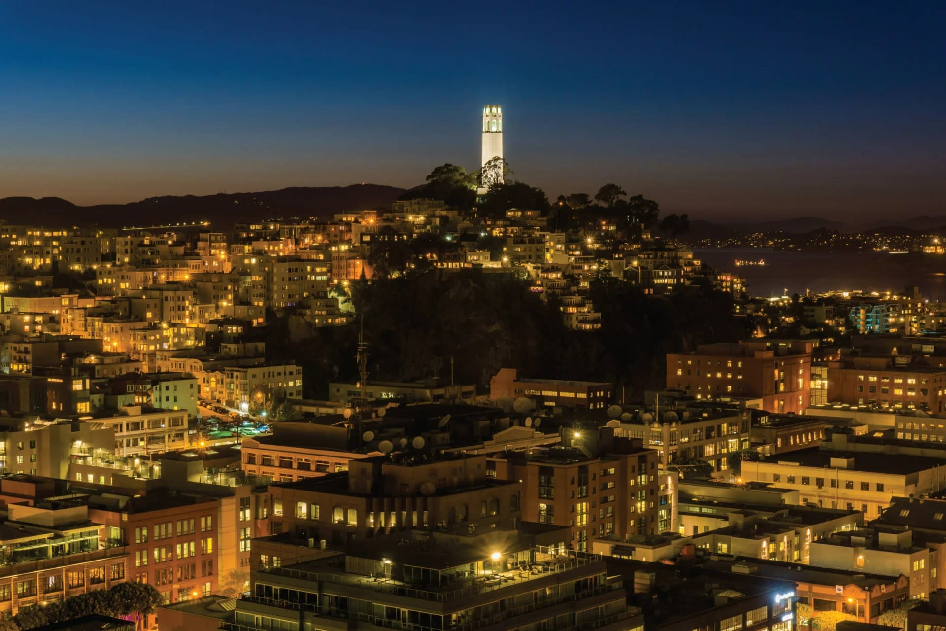 Hop-On Hop-Off Bus Tour and Night Tour in San Francisco - Thumbnail 13