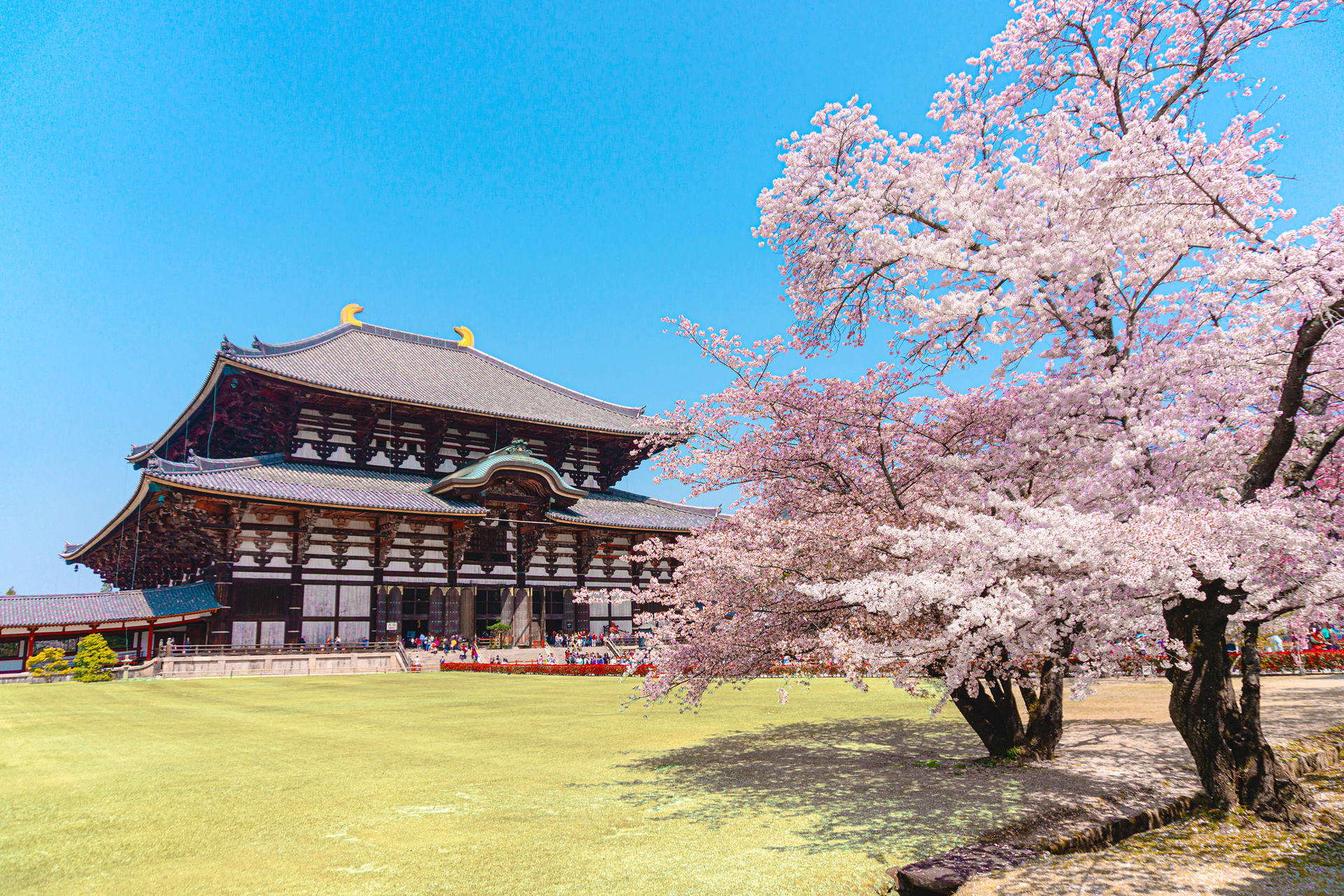 Best of Kyoto & Nara: Kiyomizudera, Nara Park, Todaiji & Much More - Thumbnail 16