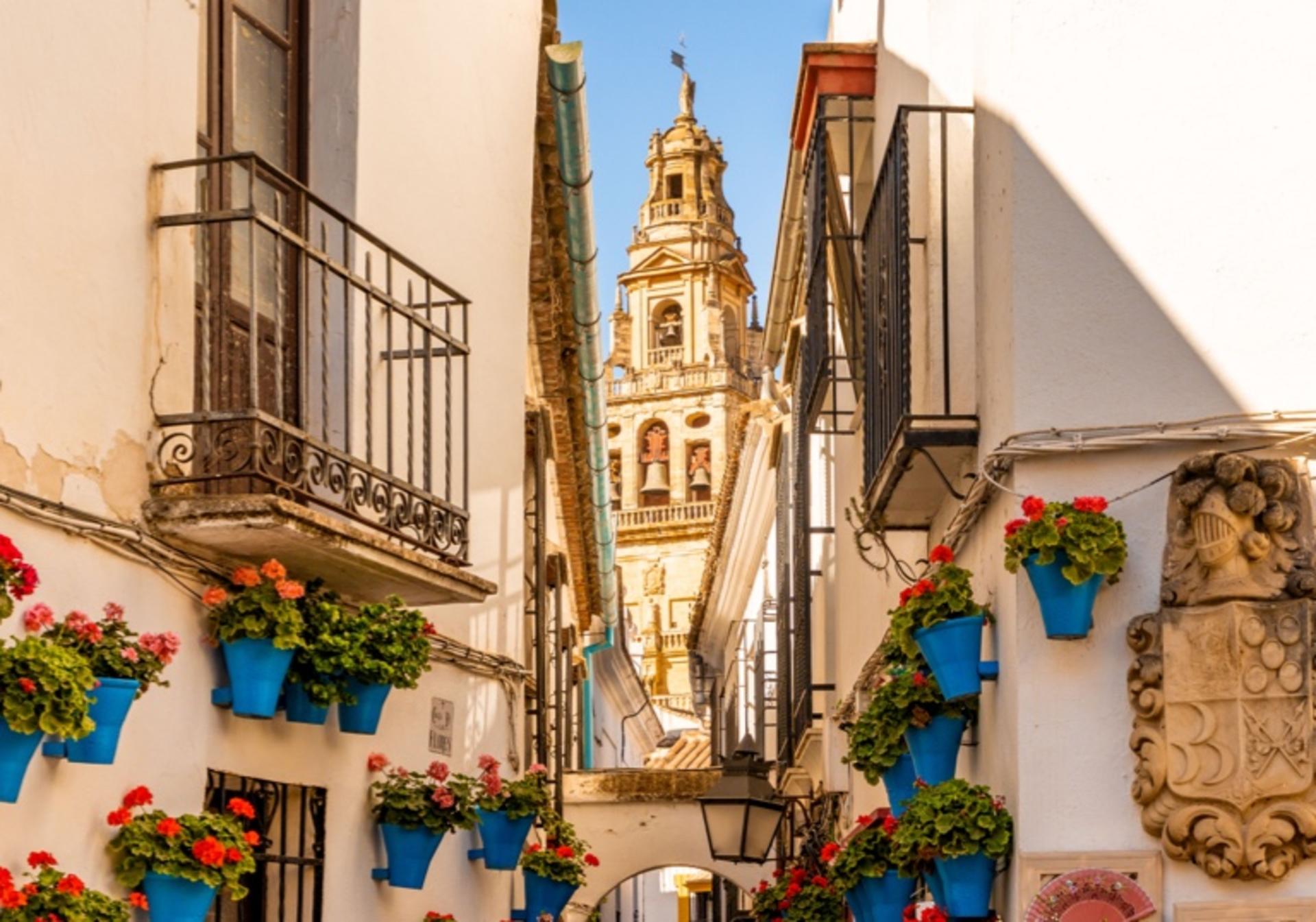 Private Cordoba Scavenger Hunt and Sights Self-Guided Trip - Thumbnail 3