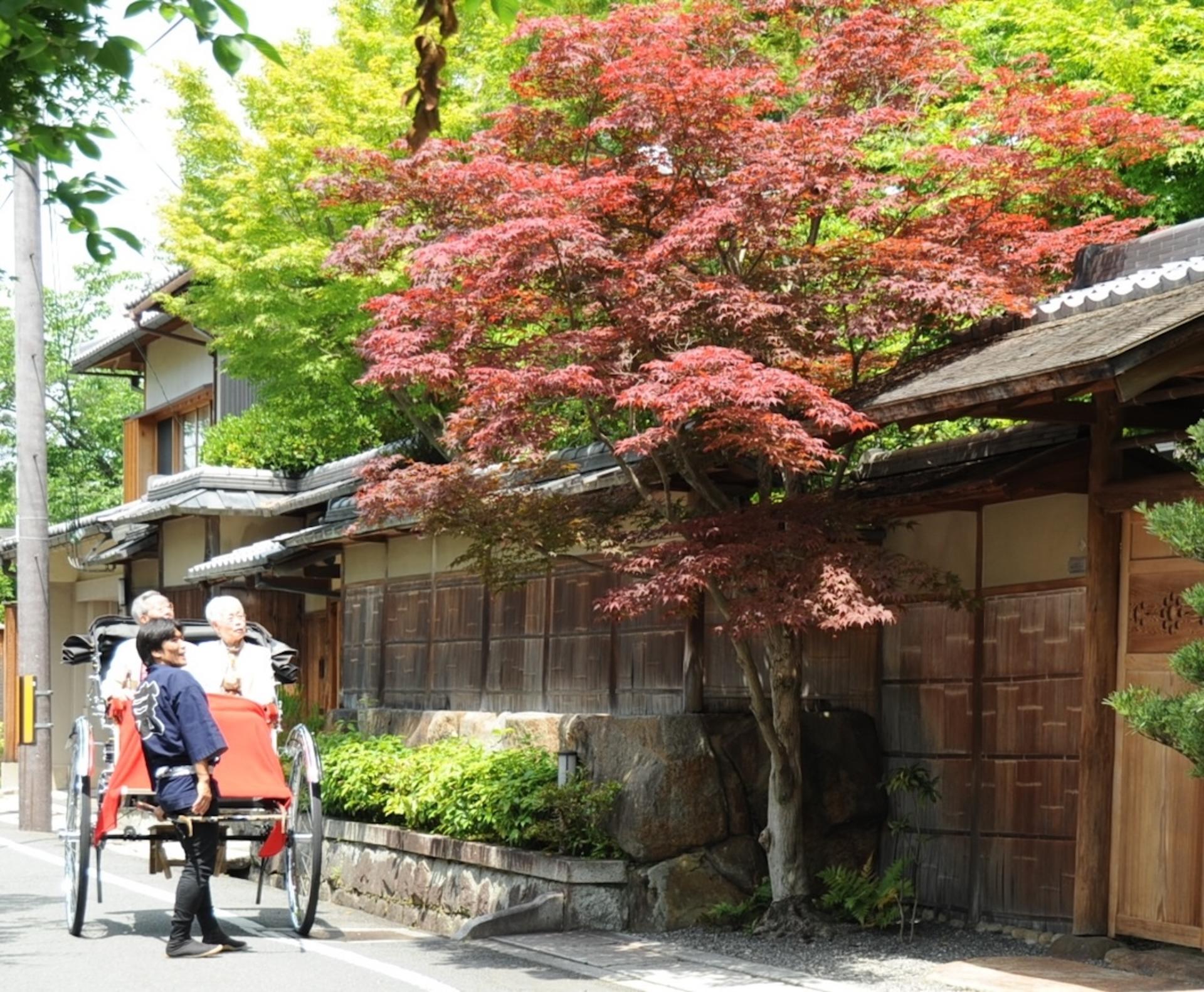 [Ebisuya Rickshaw] Private Charter Ride in Kyoto - Thumbnail 12
