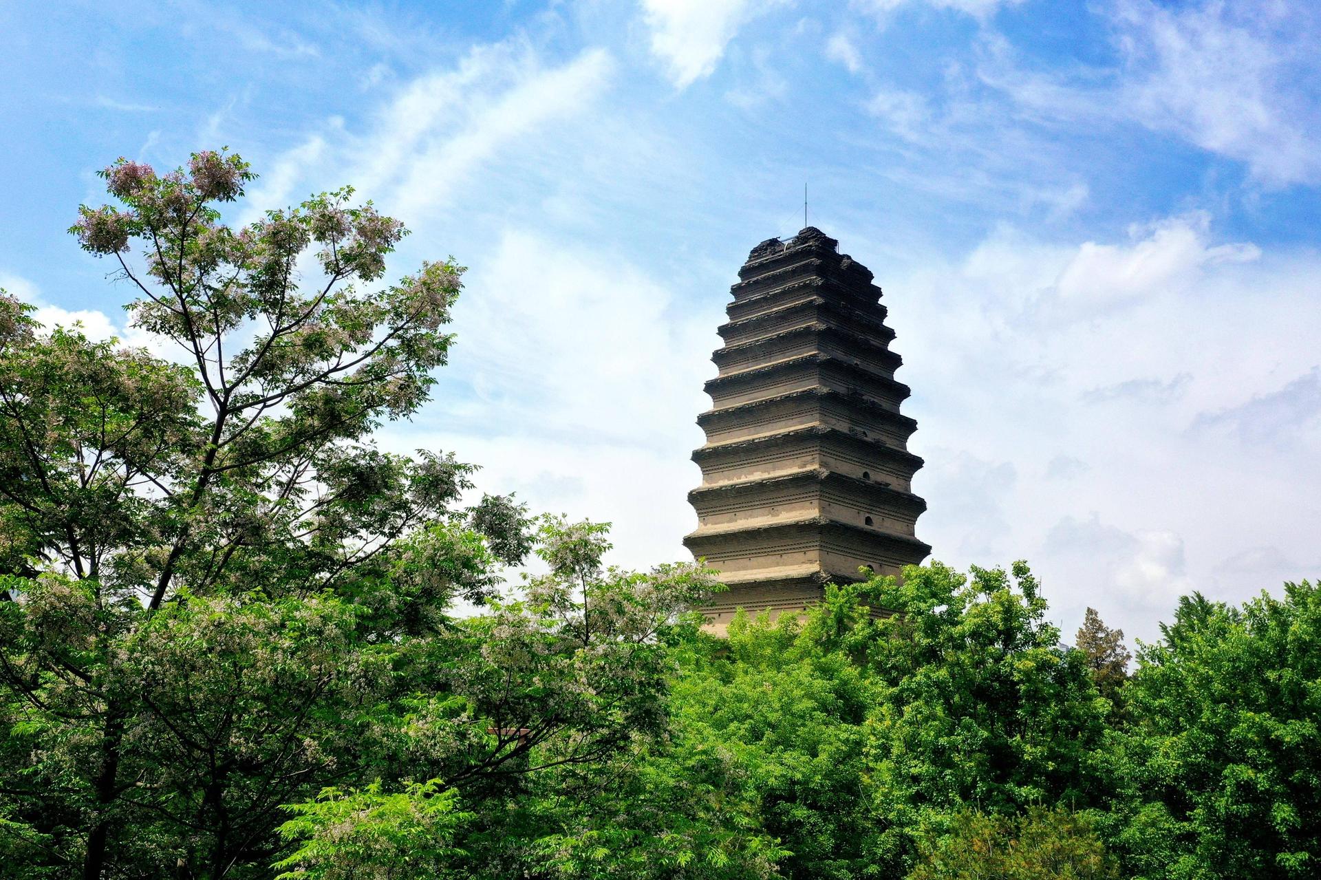 Xi'an Private Tour: Terracotta Army, City Wall, Small Wild Goose Pagoda, and Xi'an Museum Day Trip - Image 1