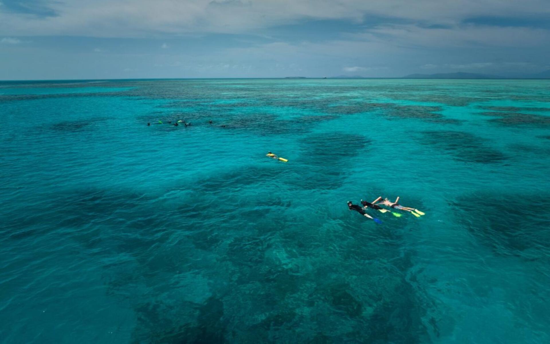 Half Day Reef Adventure to Upolu Reef - Thumbnail 5