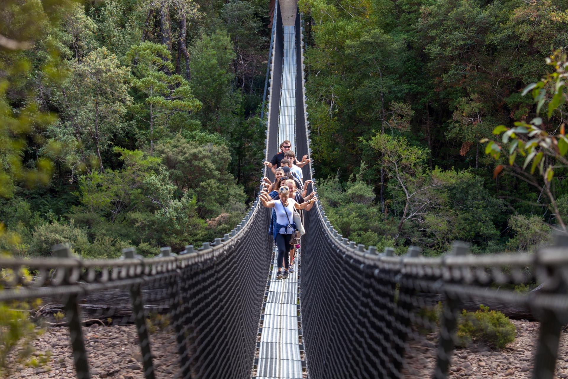 Hobart: Tahune Airwalk, Hastings Caves & Thermal Springs Pool - Image 1