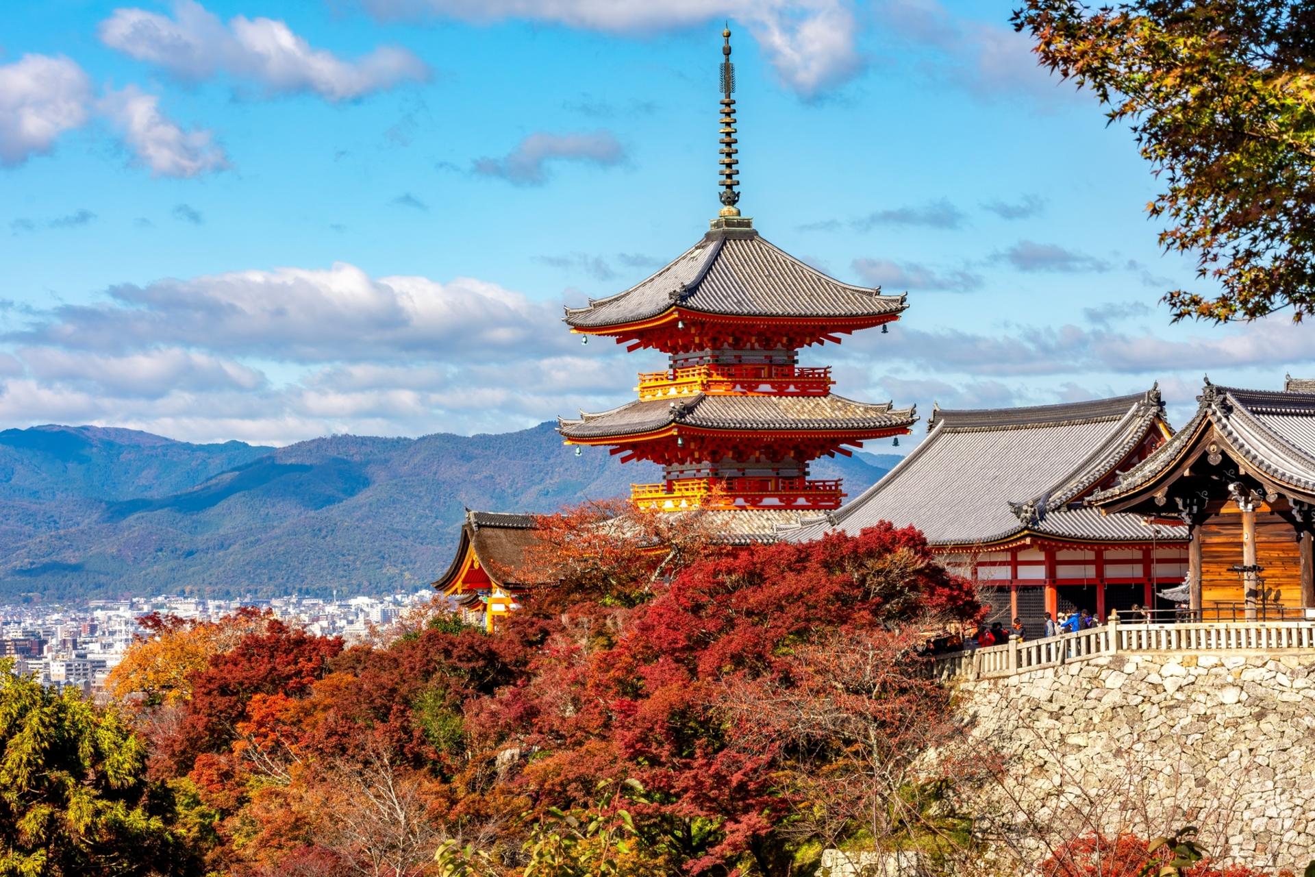 Kyoto & Nara Tour – Small Group - Thumbnail 4