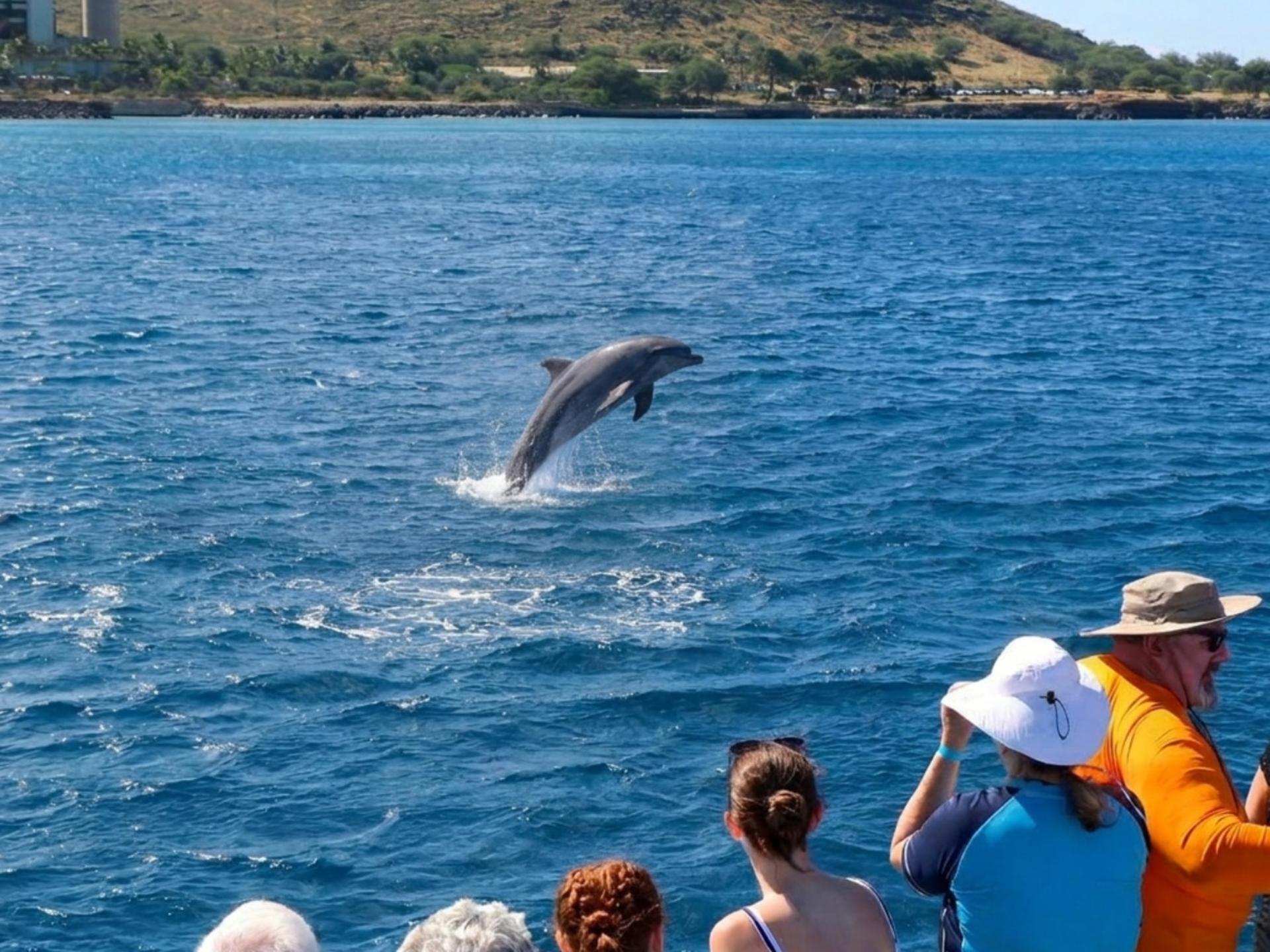 Luxury Afternoon Snorkeling Cruise and Dolphin Watch from Ko Olina - Thumbnail 6