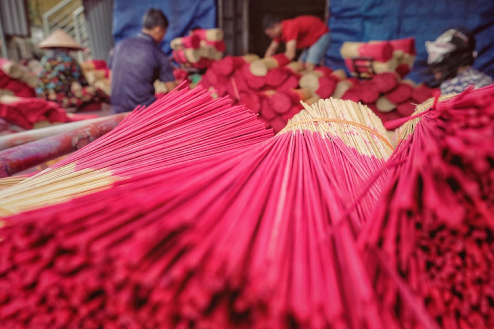 Hoa Lu, Trang An & Incense Quang Phu Cau Village Day Tour from Hanoi - Thumbnail 5