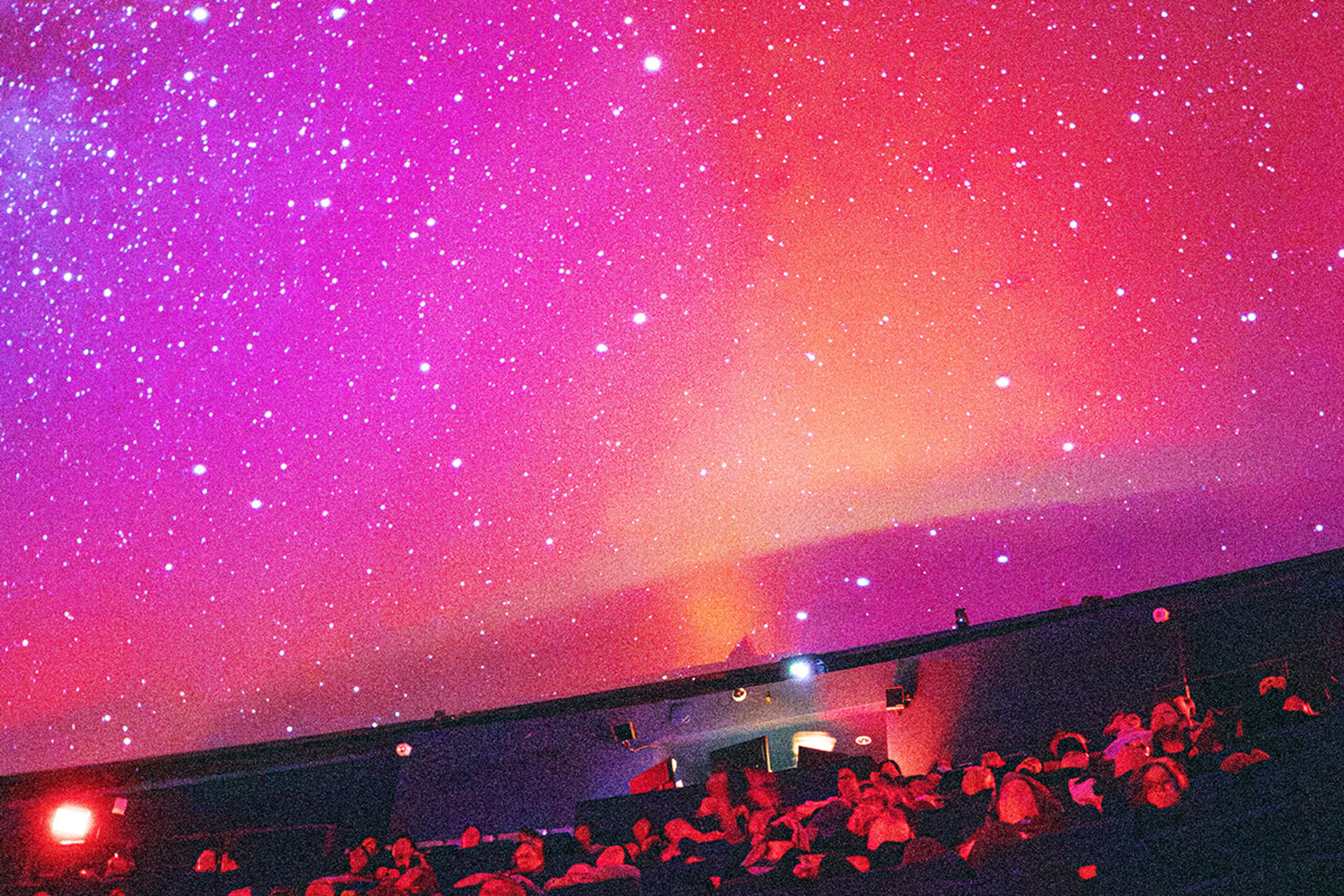 California Academy of Sciences Ticket in San Francisco - Thumbnail 8