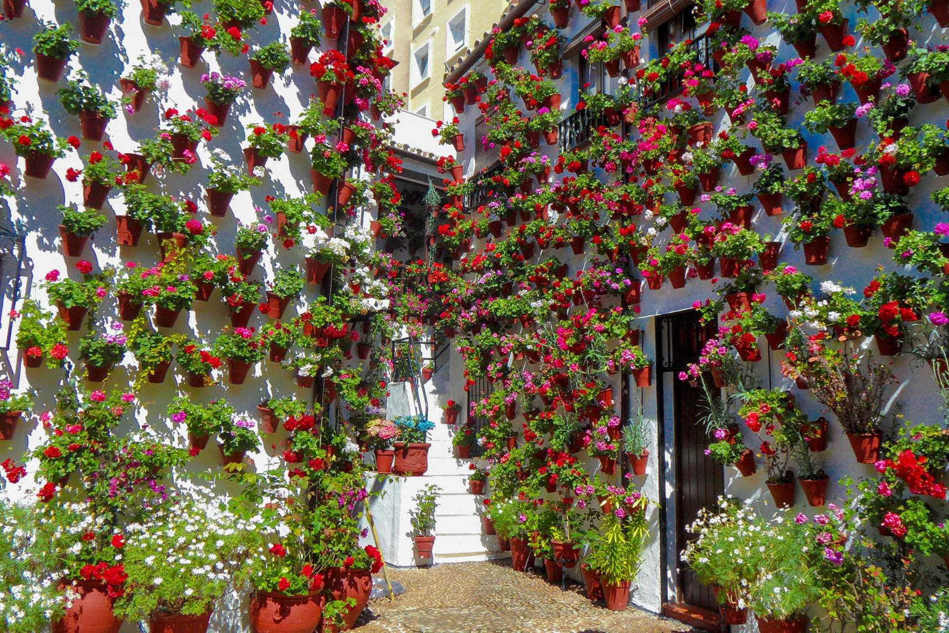 Popular Patios of Cordoba Guided Tour - Thumbnail 6