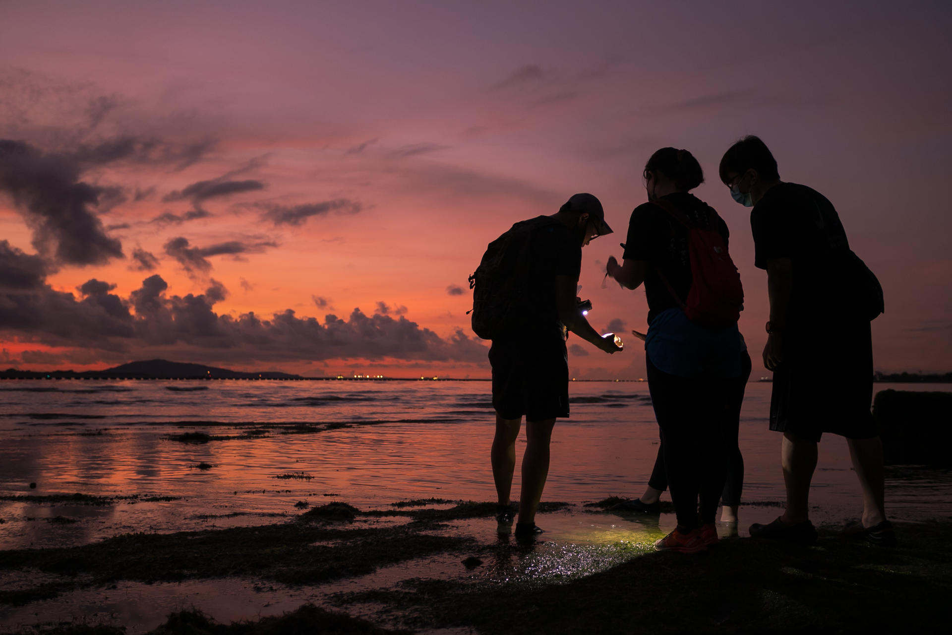 Experiential Intertidal Exploration by The Untamed Paths - Thumbnail 6