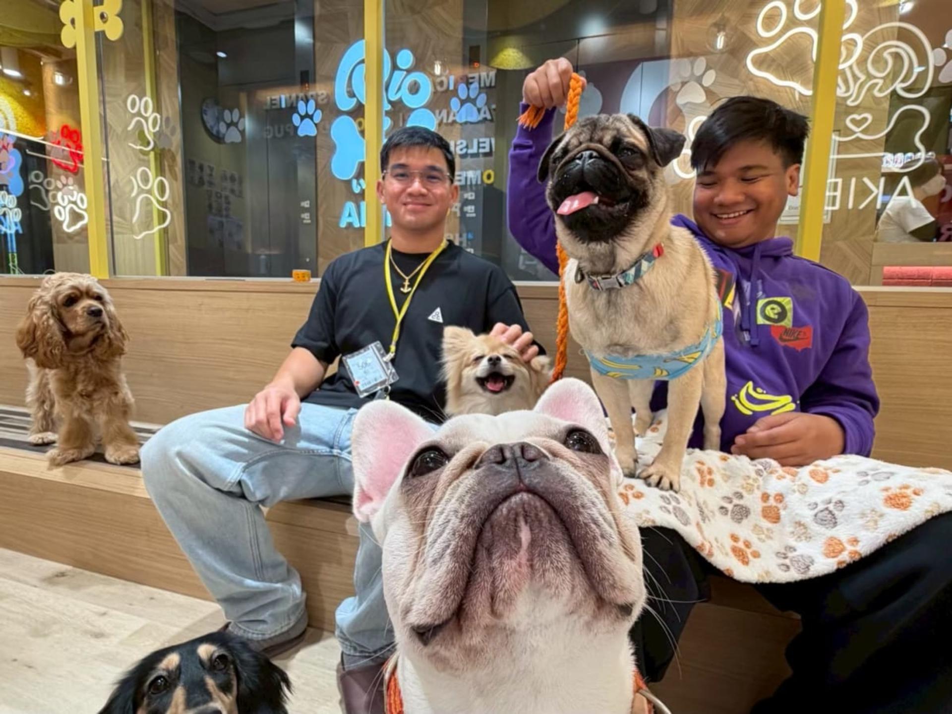Play with Dogs at Dog Cafe Rio Akihabara [Dog Cafe Rio Akihabara] - Thumbnail 2