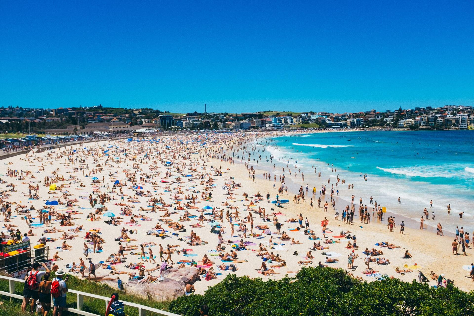 PRIVATE Sydney City Bondi Beach Opera House & Botanic Garden Tour - Thumbnail 2