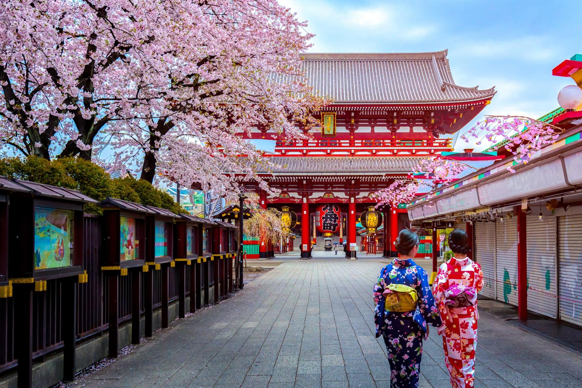 Best of Tokyo Small Group Walking Tour - Thumbnail 5