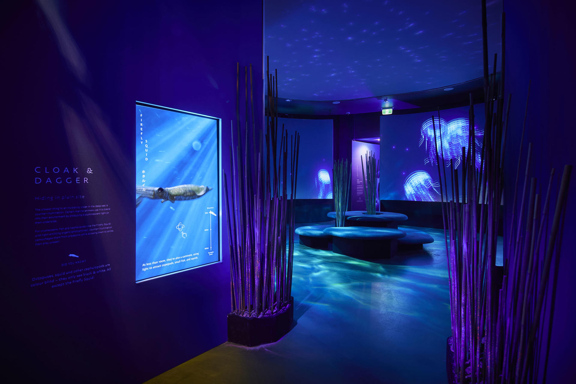 SEA LIFE Melbourne Aquarium Ticket - Thumbnail 9