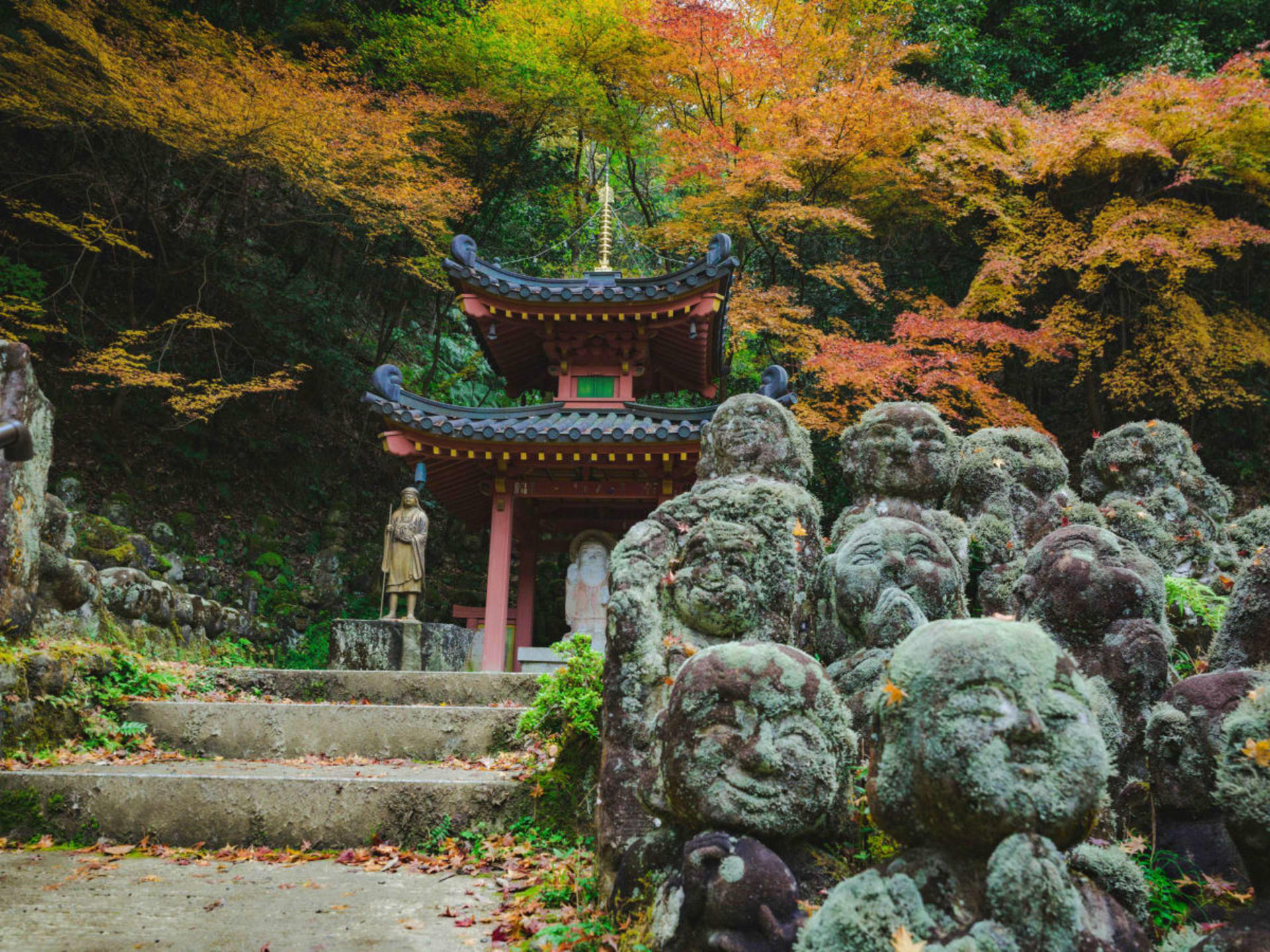 [Tasty Tours Japan]Kyoto Like a Local: Private Walking & E-Bike Tour - Thumbnail 8