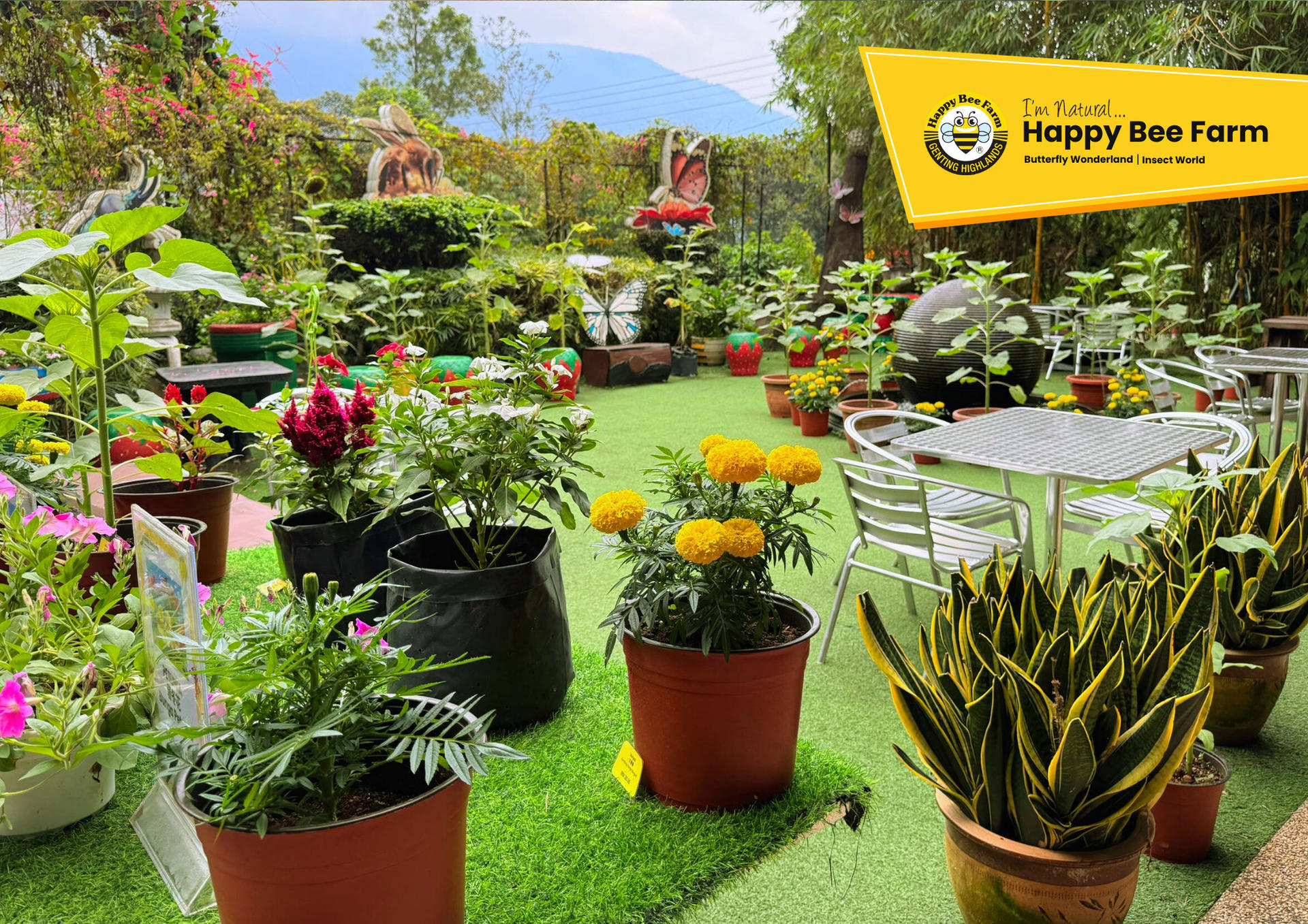 Happy Bee Farm Admission Ticket in Genting Highlands - Thumbnail 12