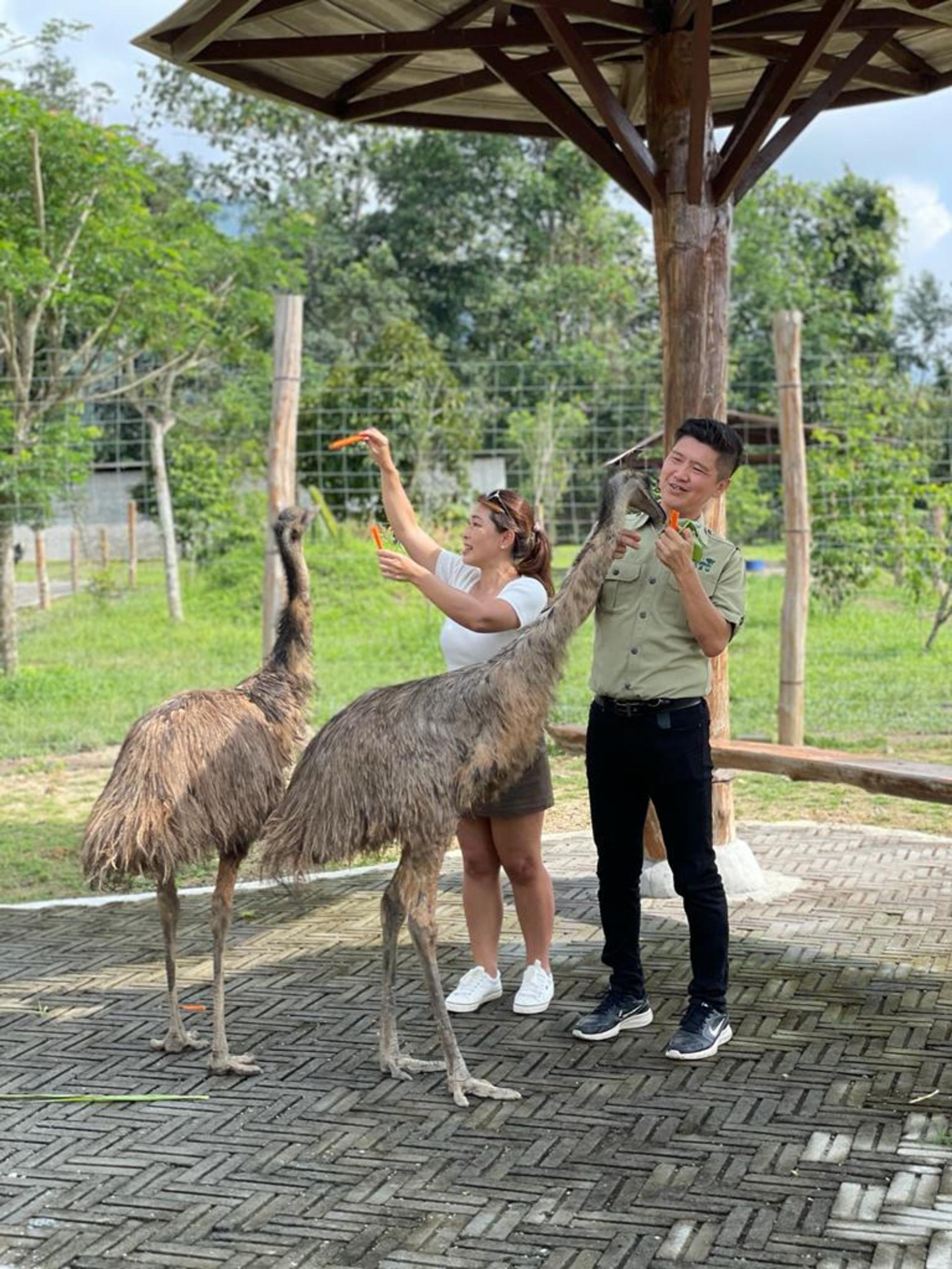 The Bentong Farm Ticket in Pahang - Thumbnail 2