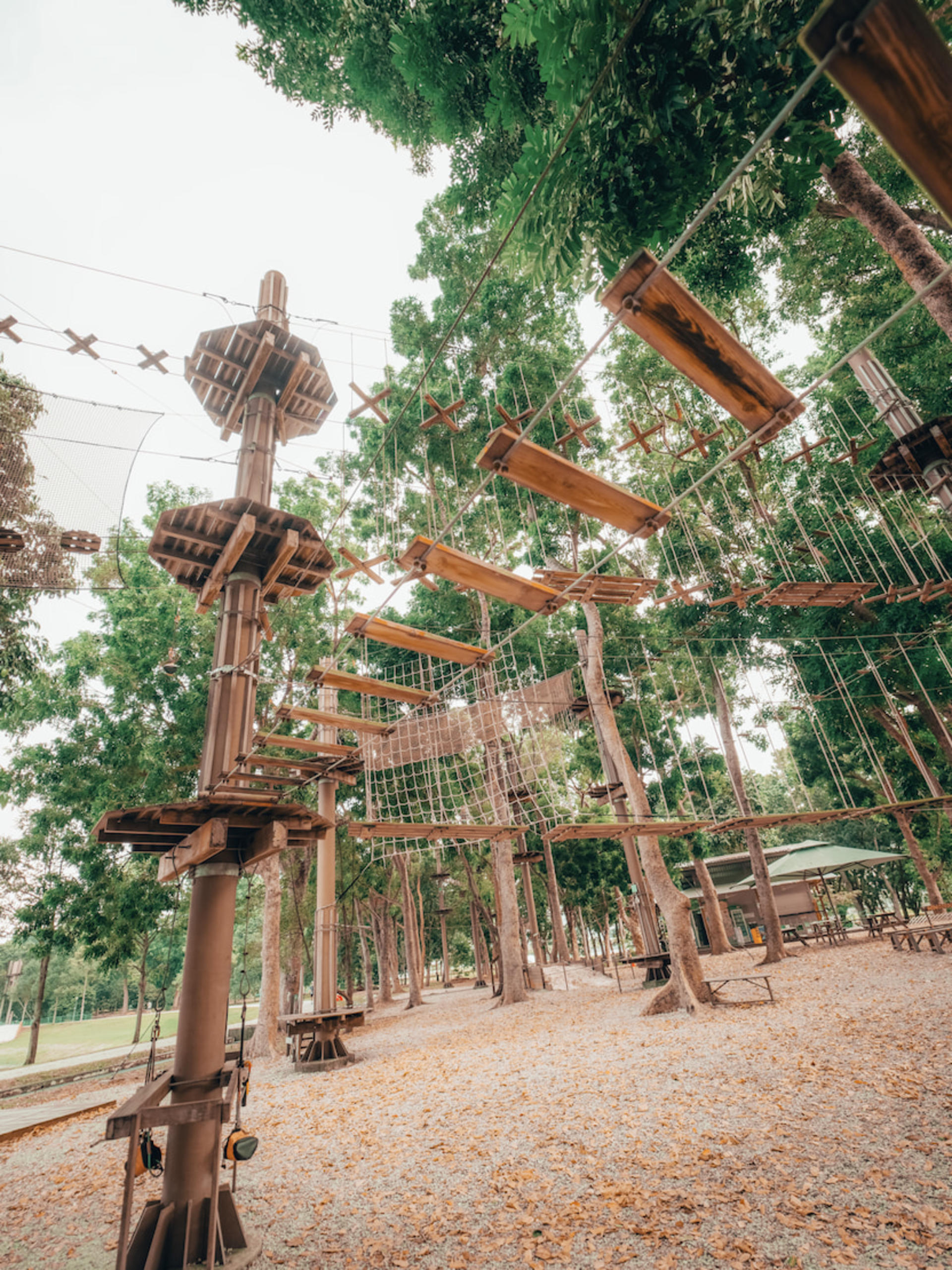 Forest Adventure Treetop Adventure - Thumbnail 5