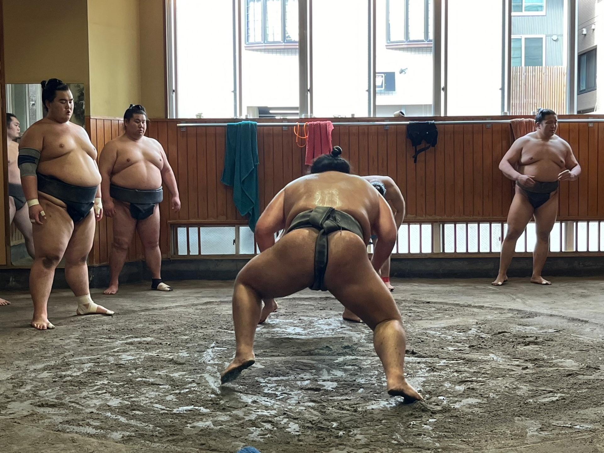 Grand Sumo: Morning Training at Takasago Stable & Commemorative Photo Experience (Asakusa) - Thumbnail 2