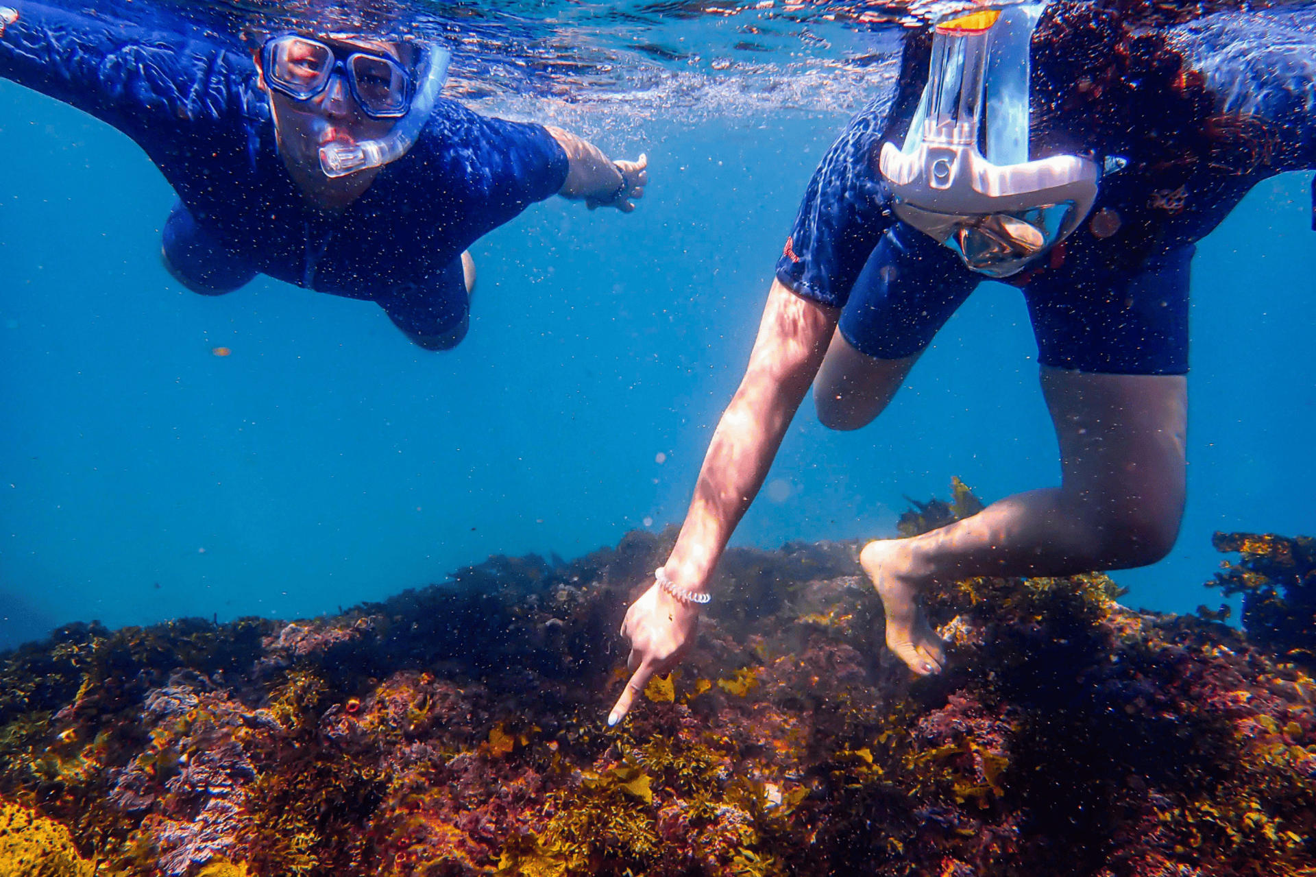 90-Minute Snorkeling Experience Group Tour - Thumbnail 9