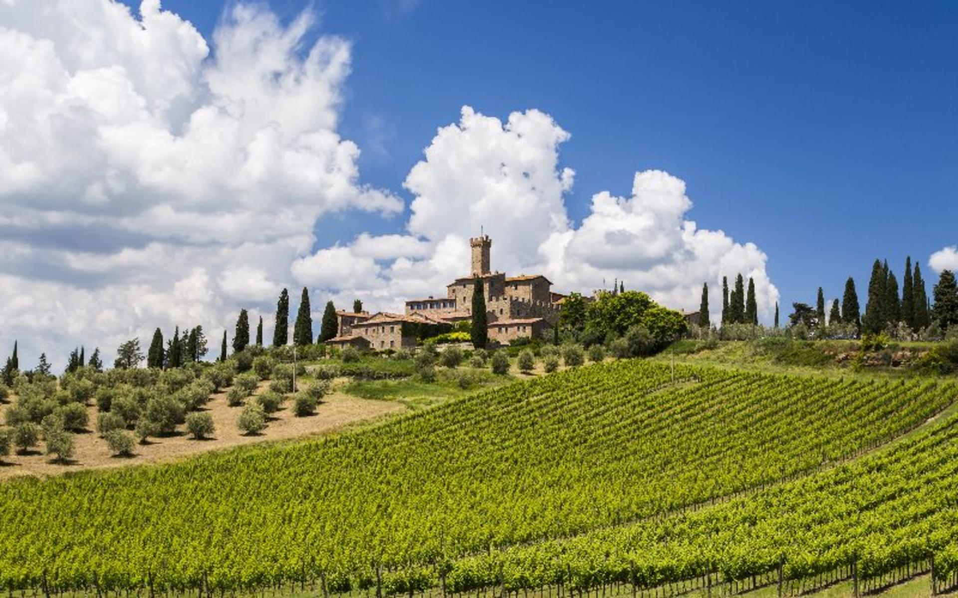 San Gimignano, Chianti and Montalcino Day Tour from Siena - Thumbnail 3