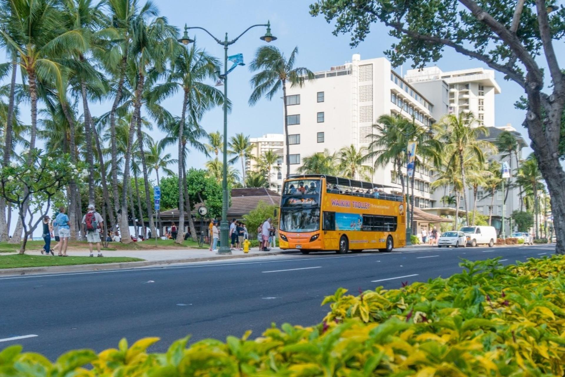 Waikiki Trolley Pass in Hawaii - Thumbnail 3