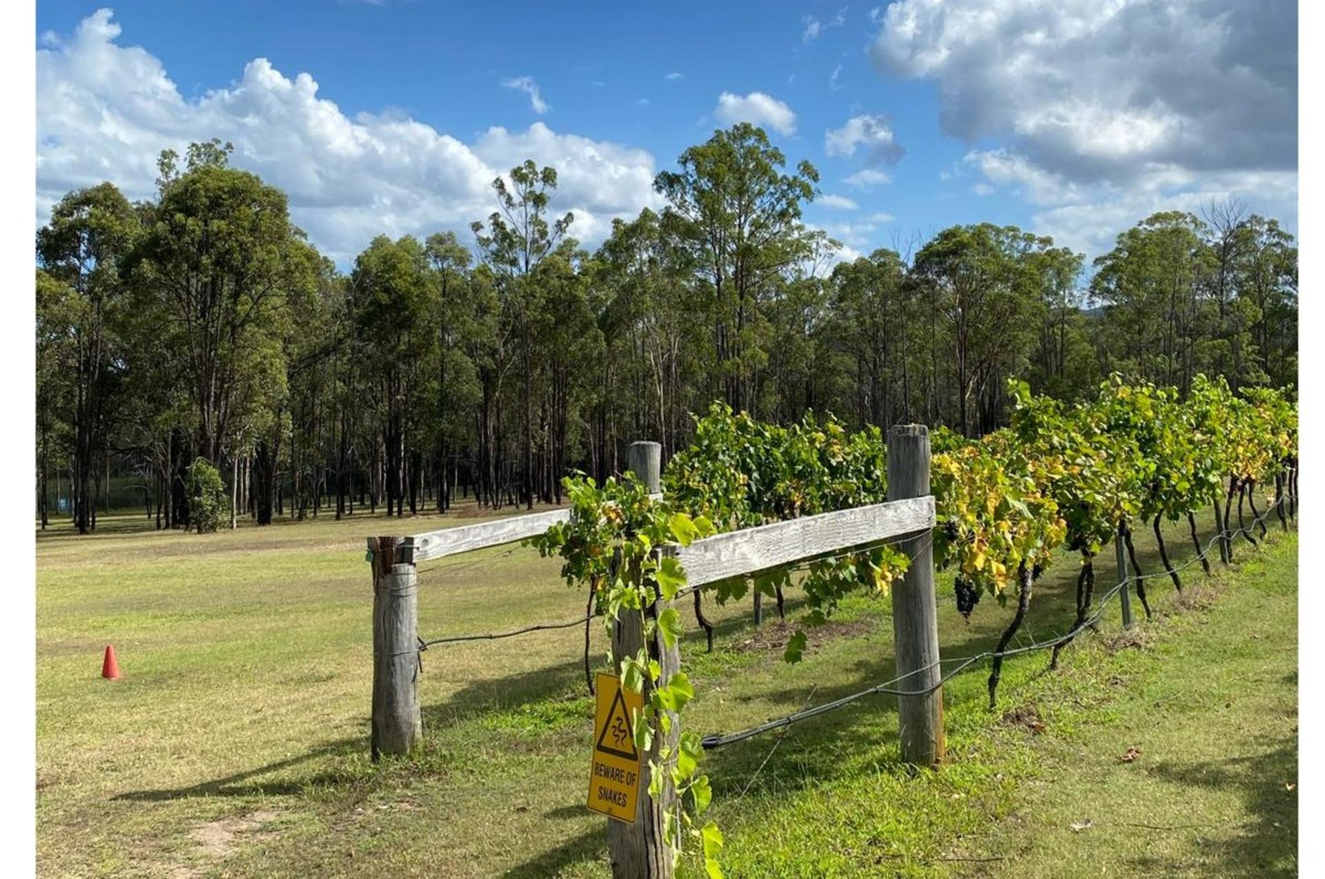 Sydney to Hunter Valley: A Chef-Led Food and Wine Experience - Thumbnail 9